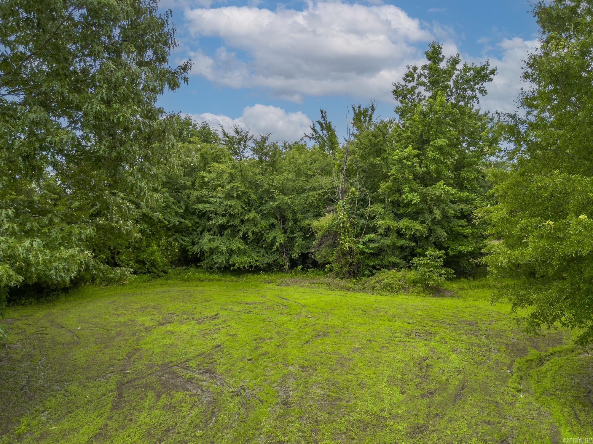 23 Arnoldsburg Conway, AR 72032