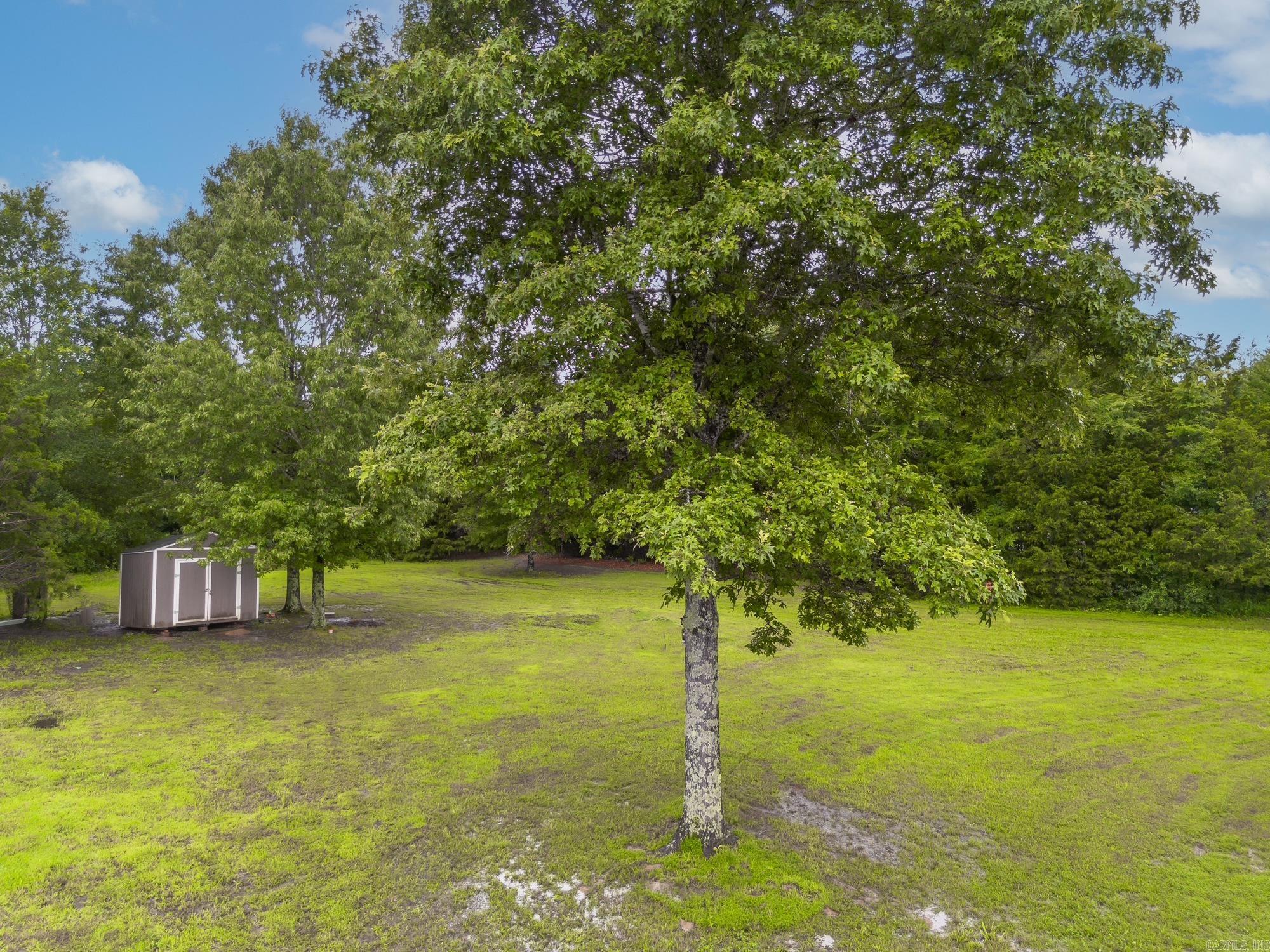 23 Arnoldsburg Conway, AR 72032