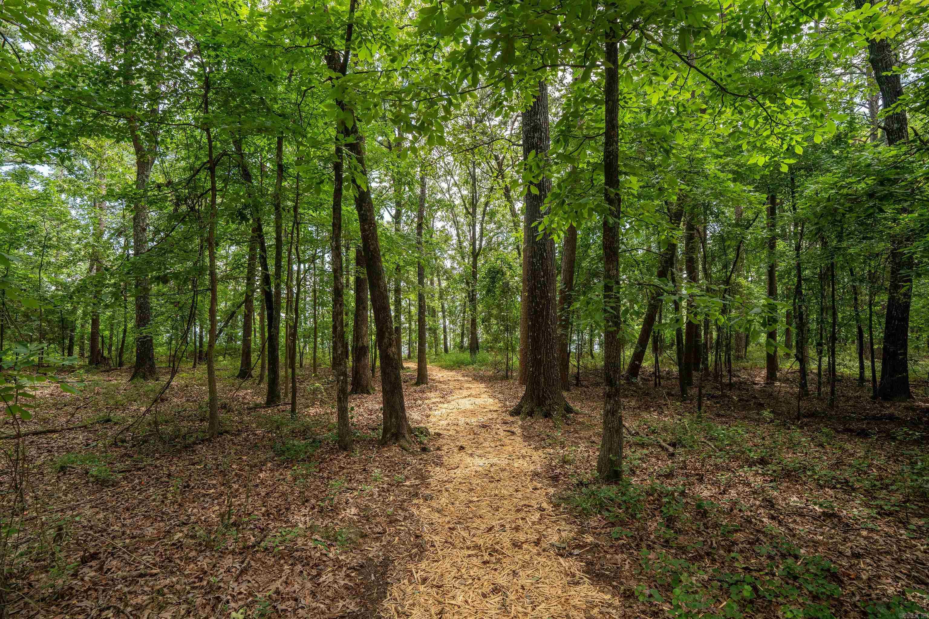 150 Island Shores Drasco, AR 72530