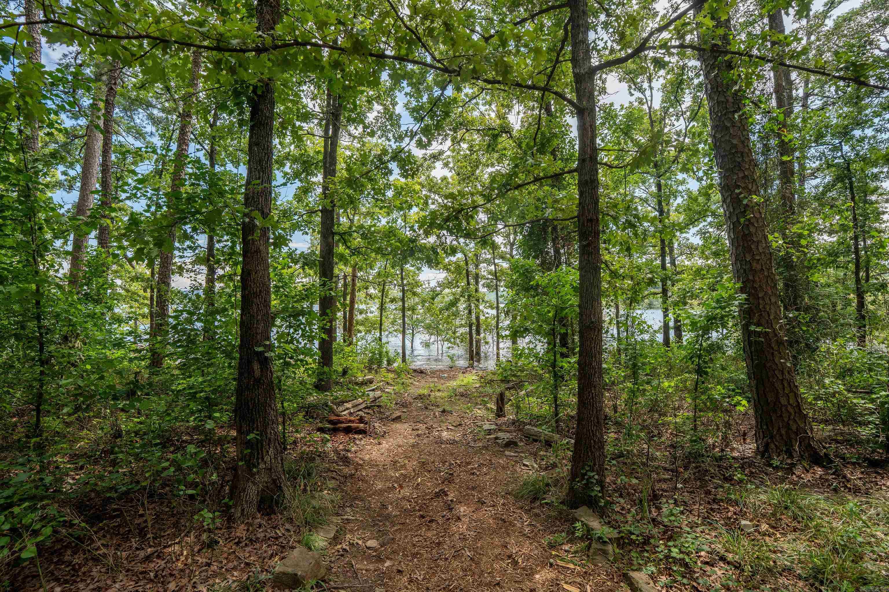 150 Island Shores Drasco, AR 72530