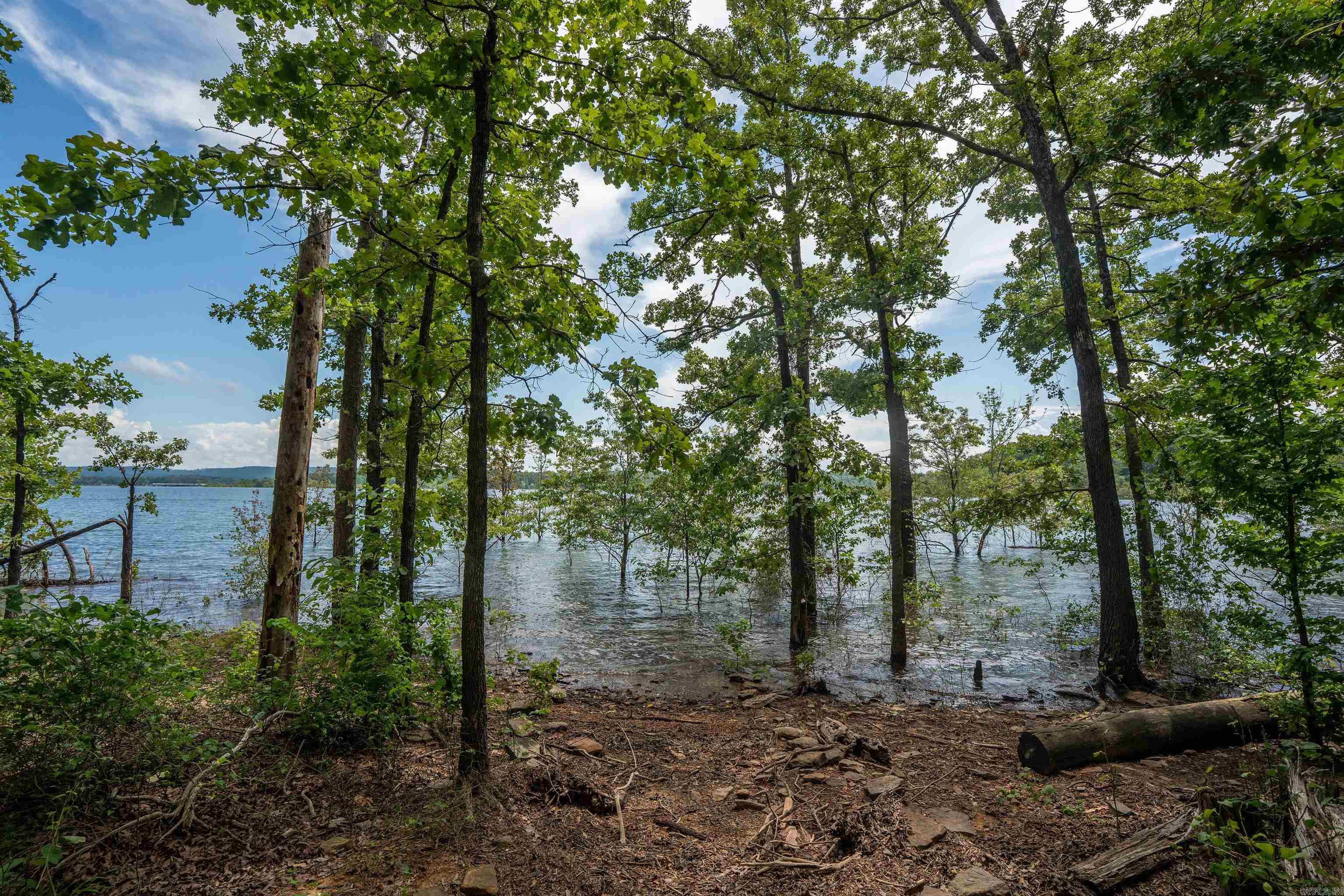 150 Island Shores Drasco, AR 72530