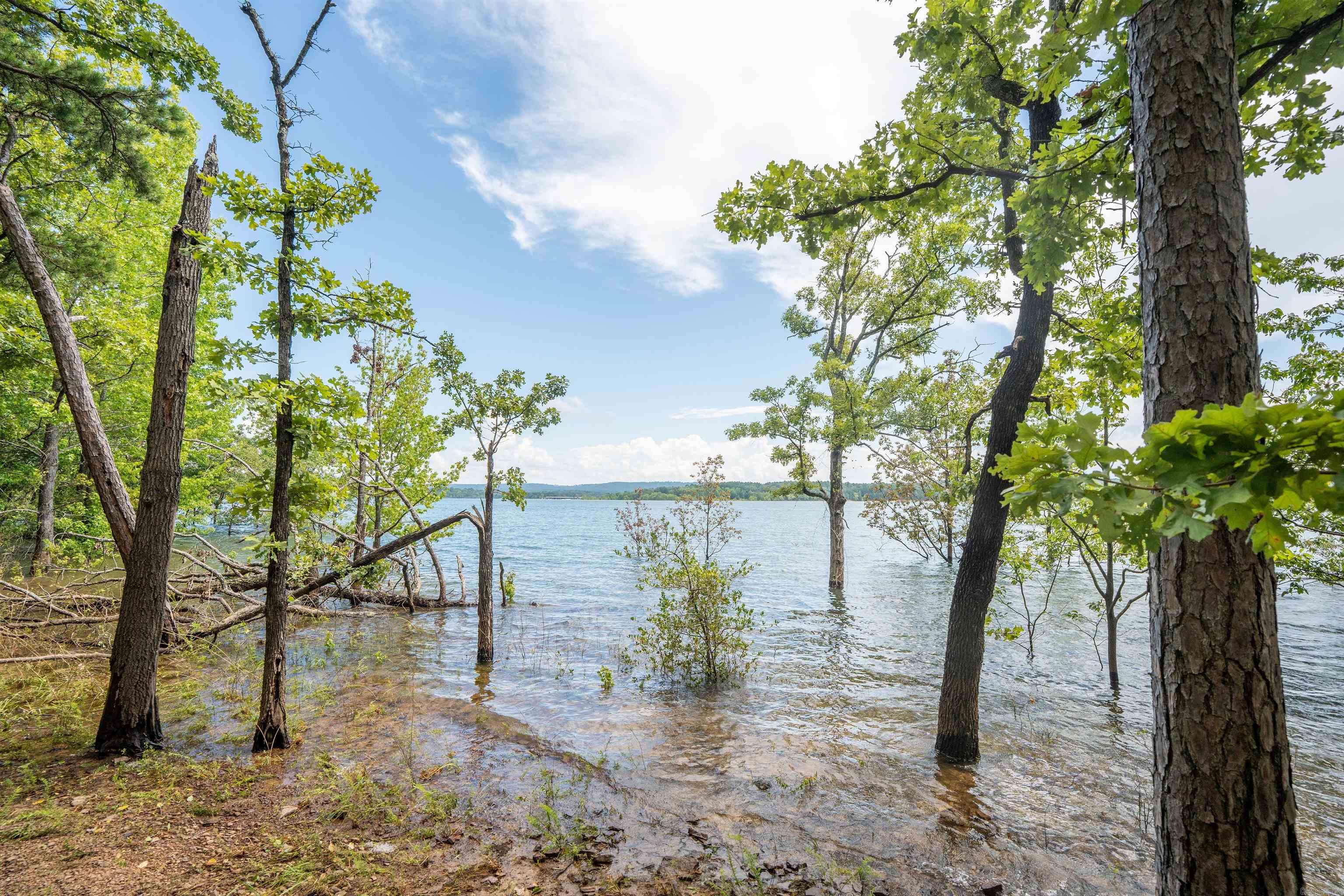 150 Island Shores Drasco, AR 72530
