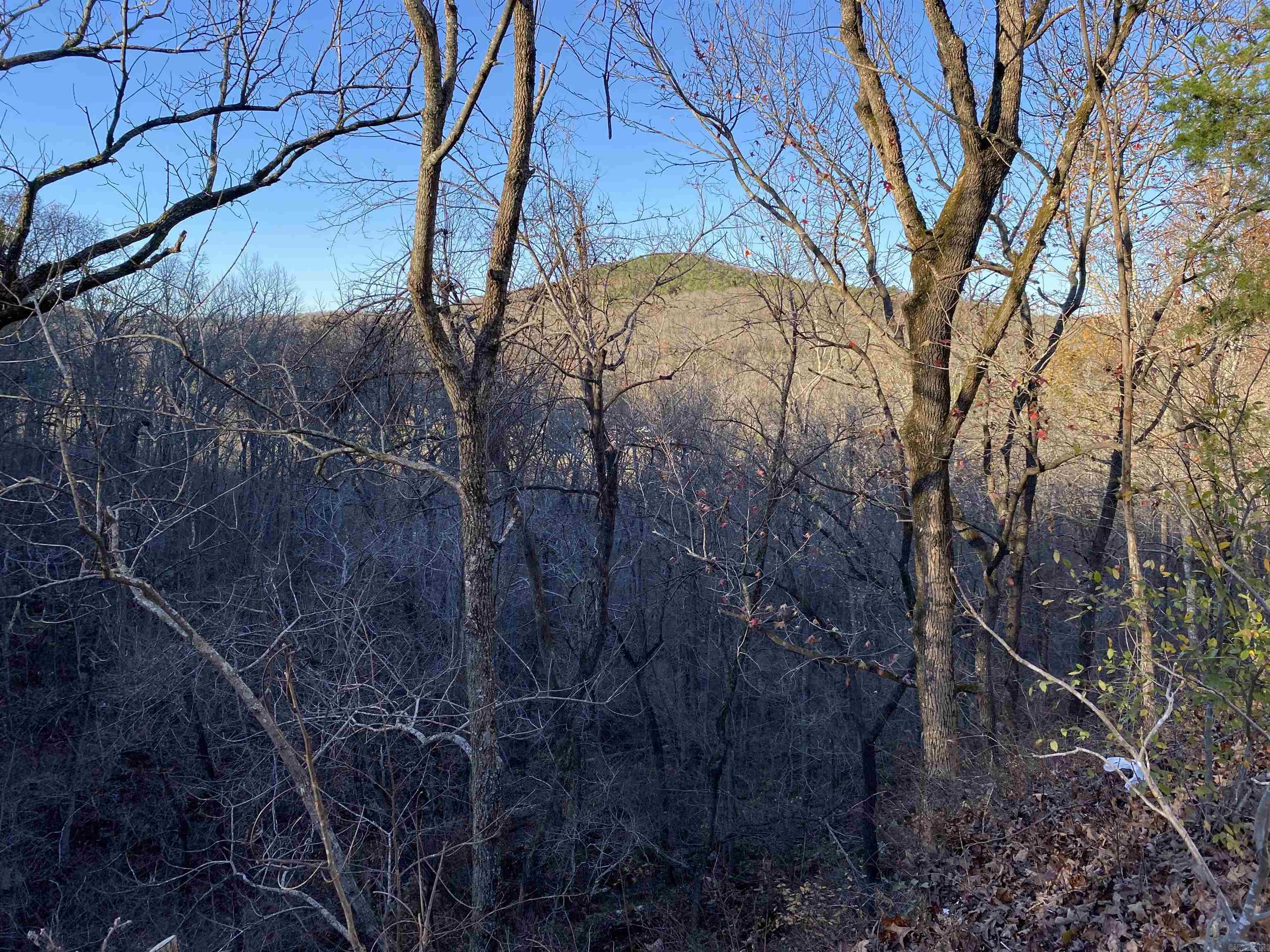 7897 Trace Ridge Road Leslie, AR 72645