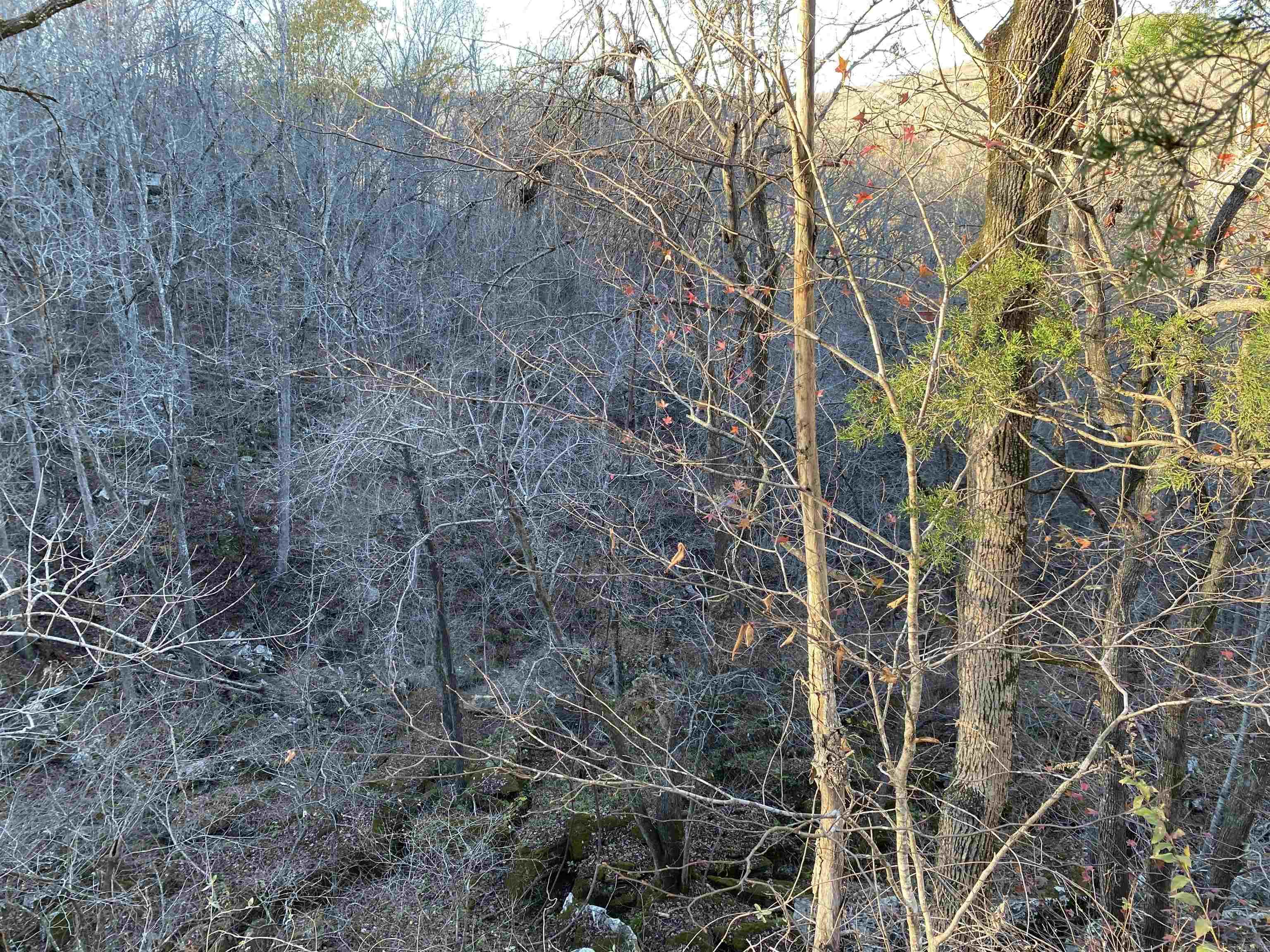 7897 Trace Ridge Road Leslie, AR 72645