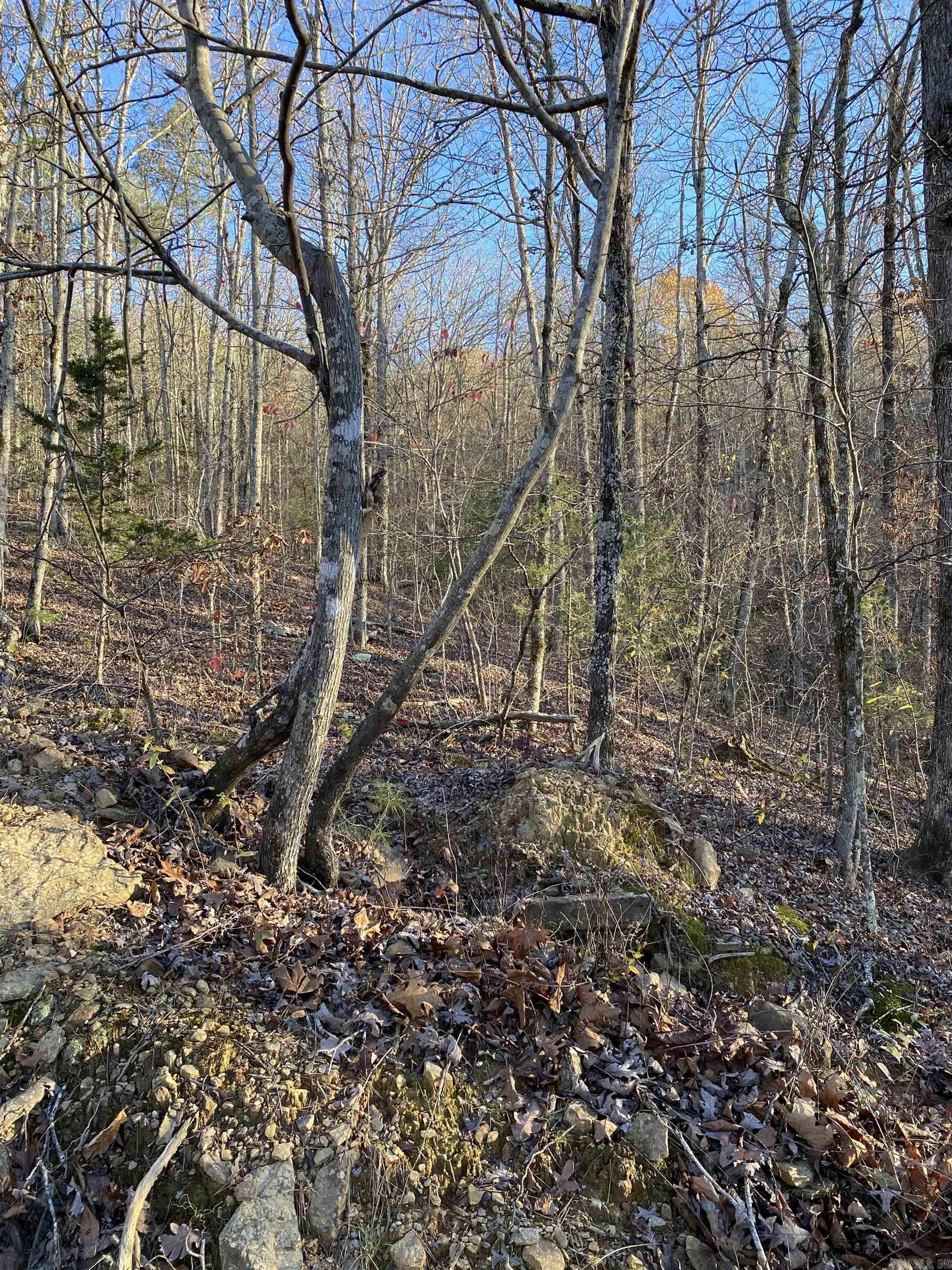 7897 Trace Ridge Road Leslie, AR 72645