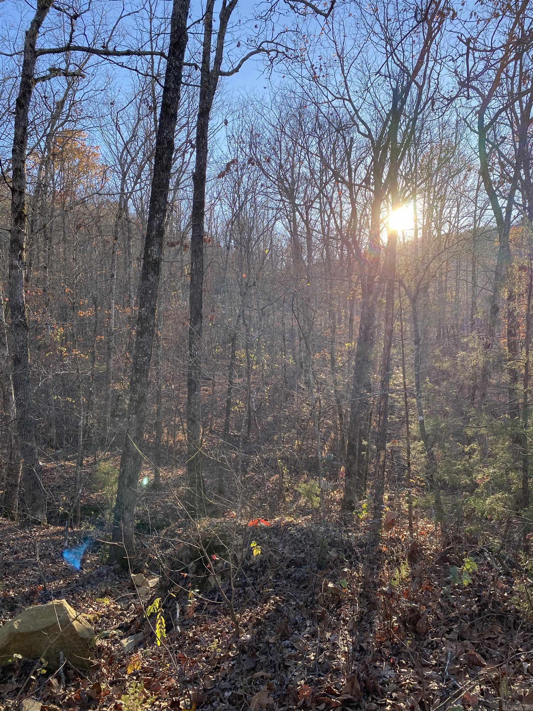 7897 Trace Ridge Road Leslie, AR 72645