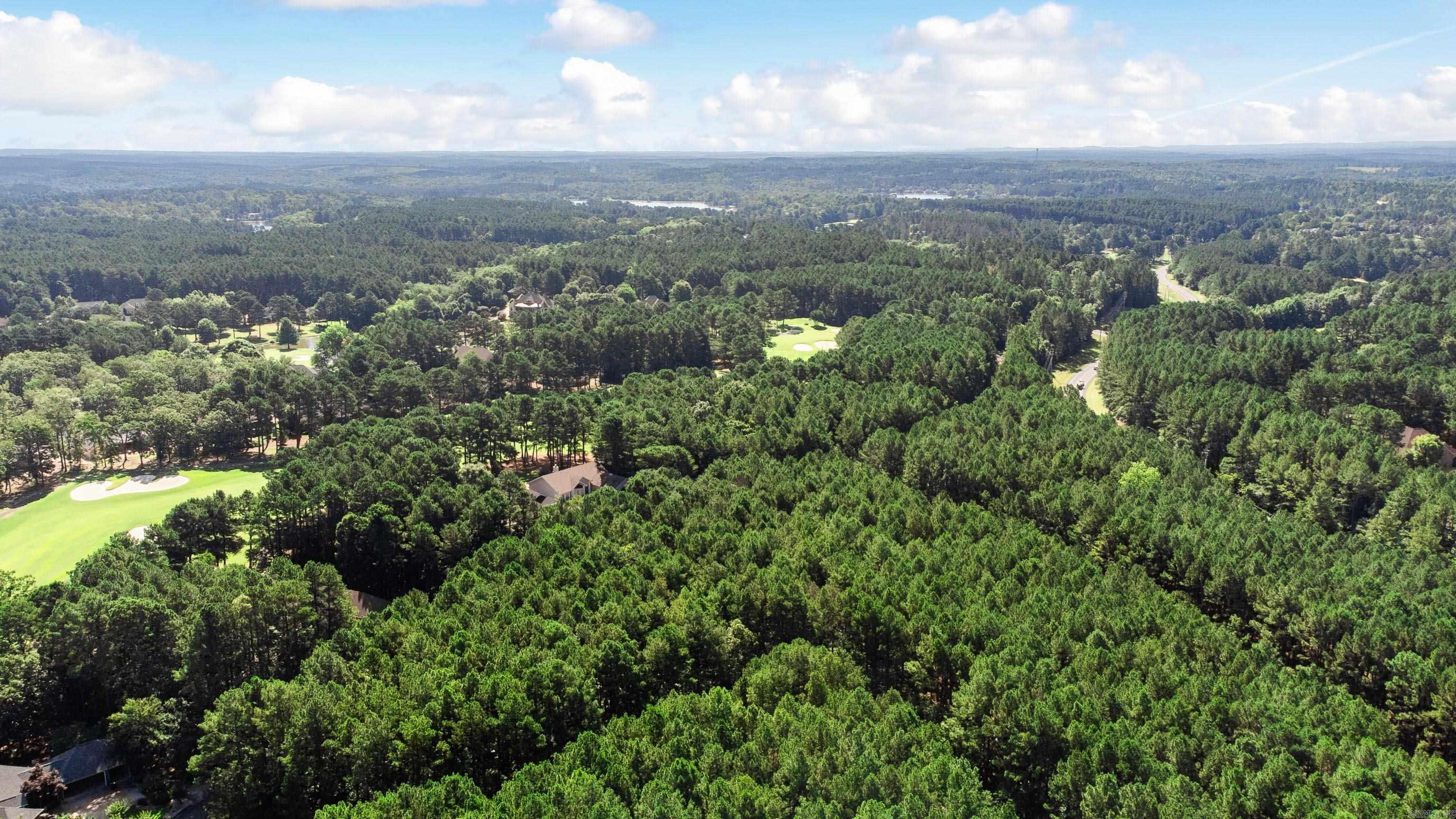 23 Realeza  Hot Springs Village, AR