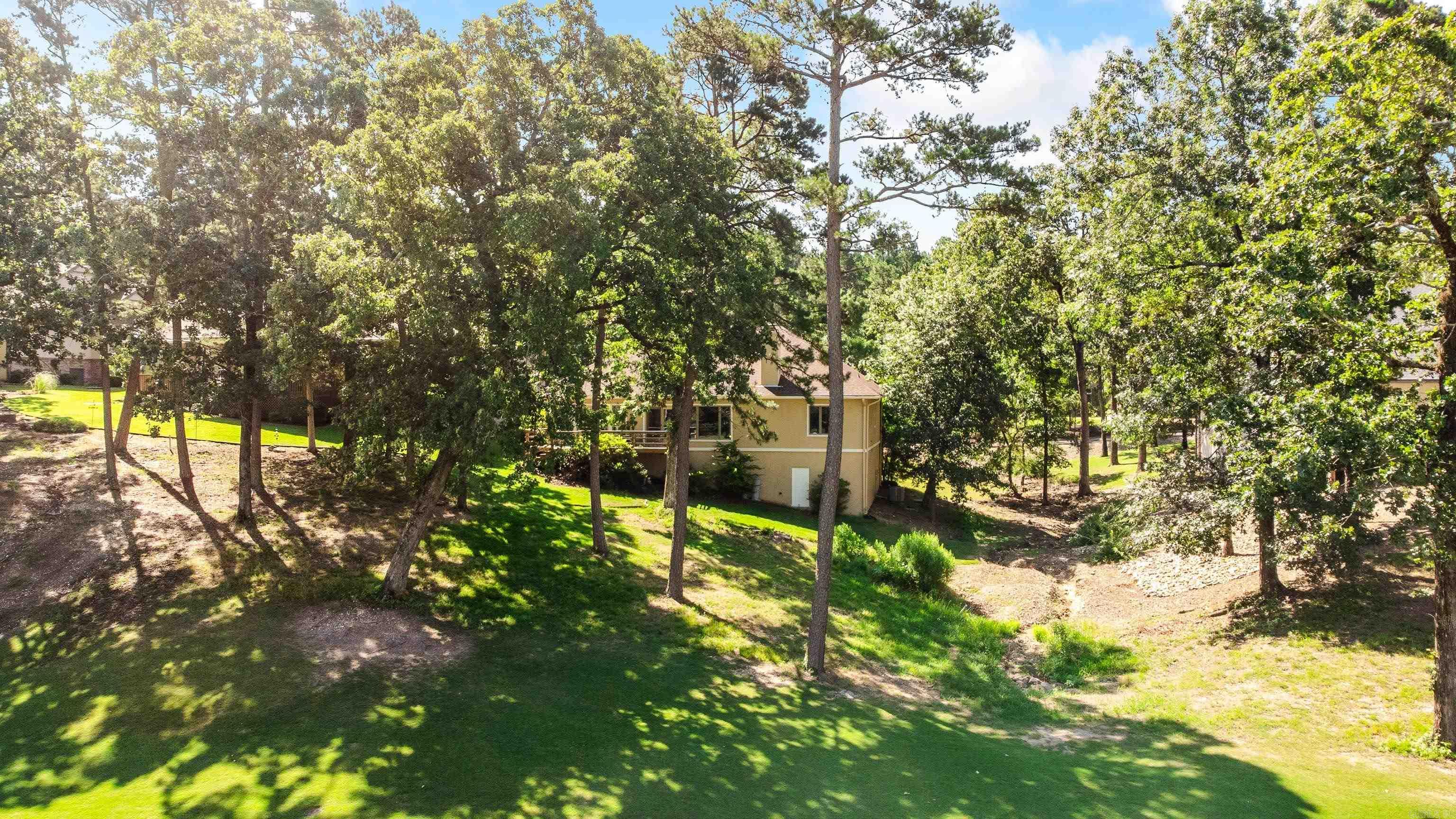 23 Realeza  Hot Springs Village, AR