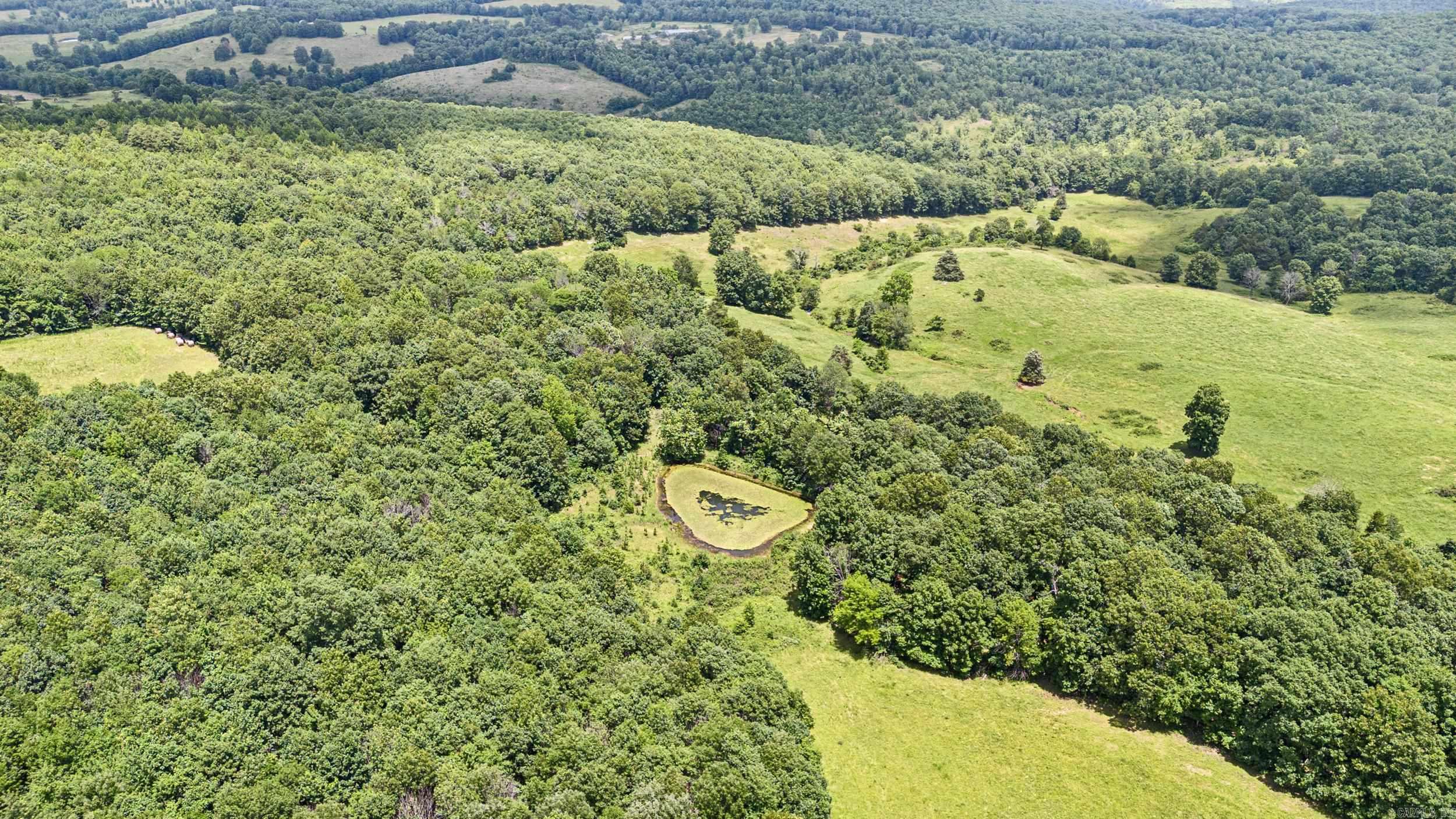 AR 254  Leslie, AR