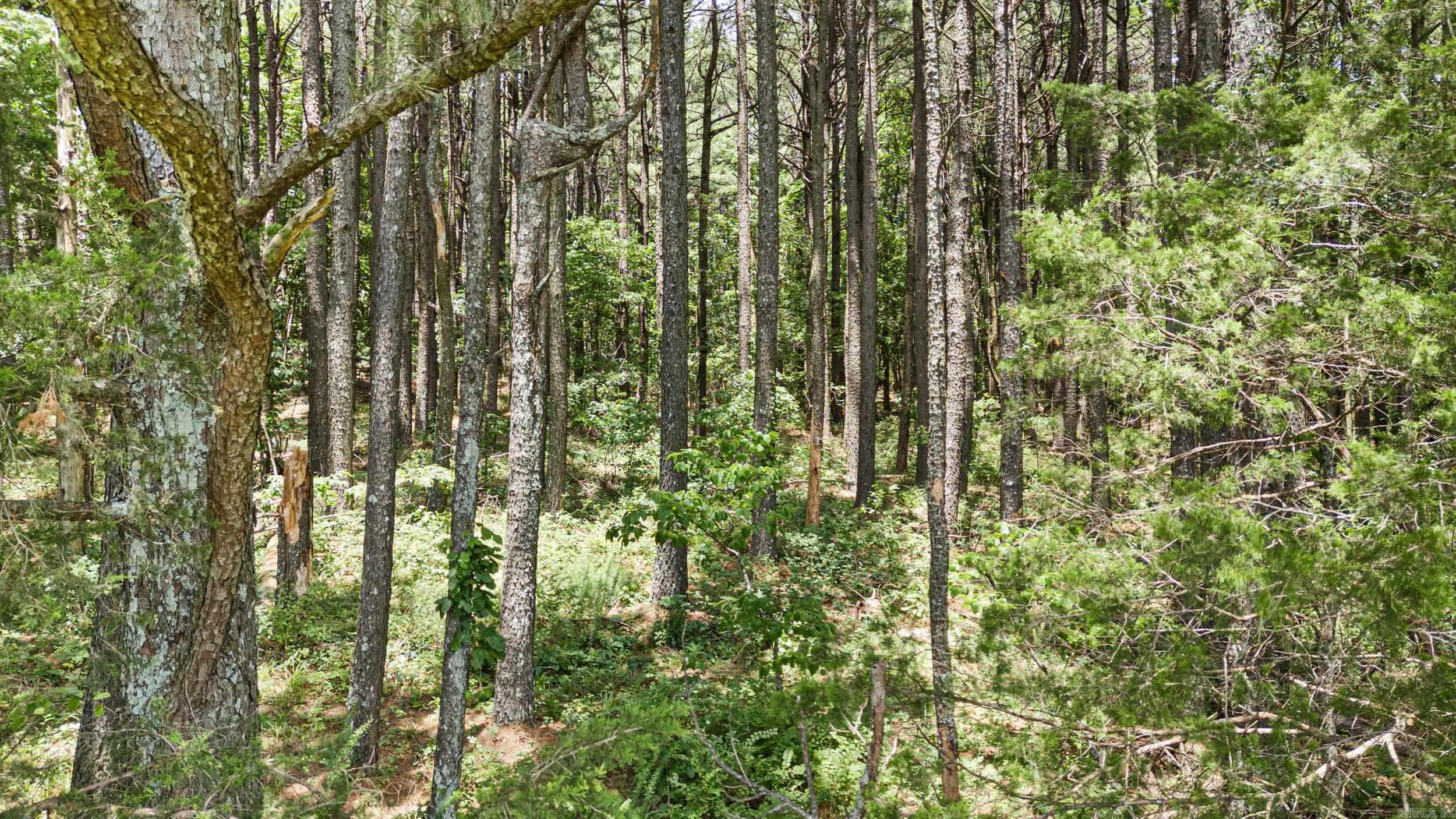  AR 254  Leslie, AR