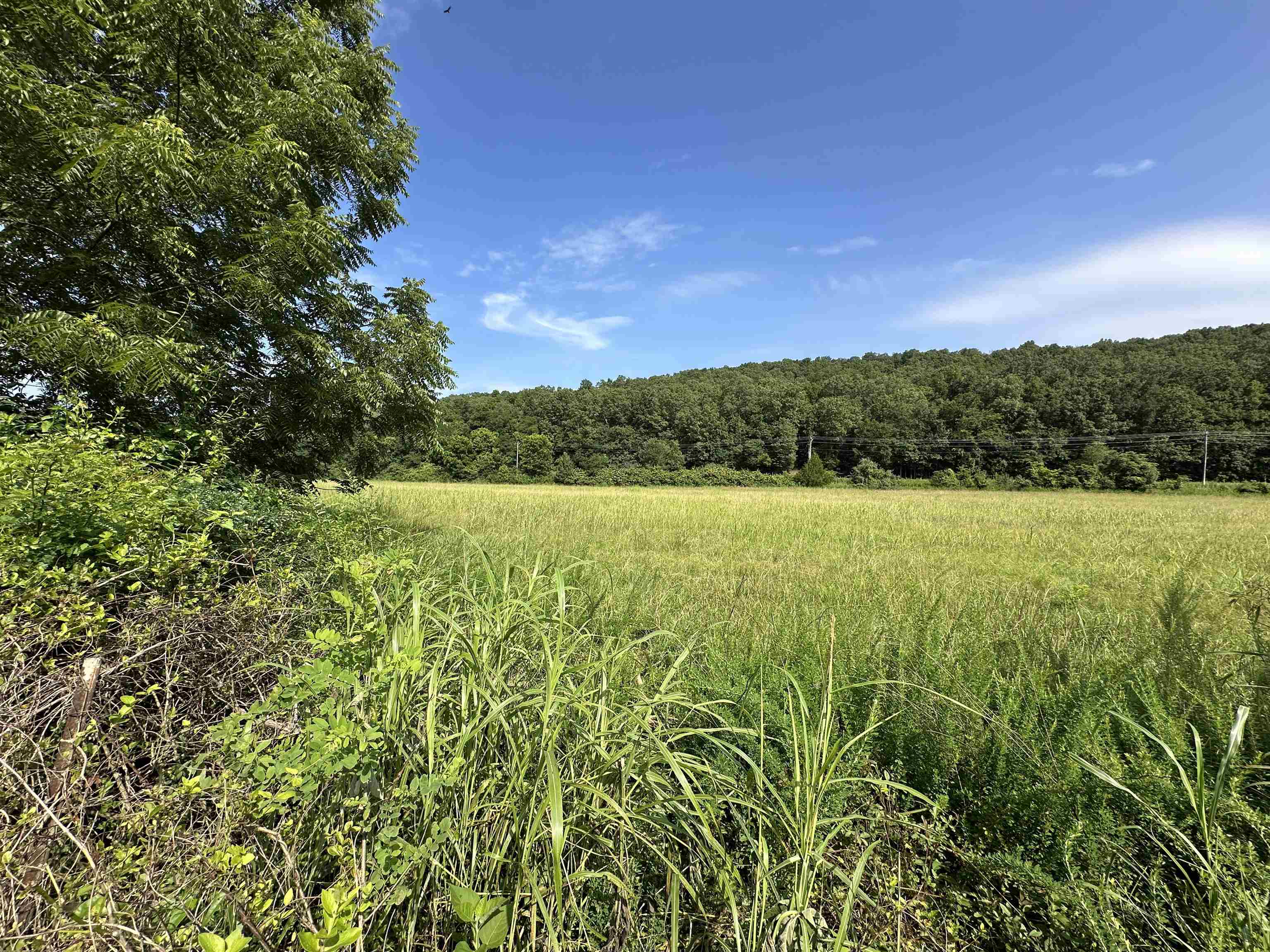 000 Denton Ferry Road  Cotter, AR