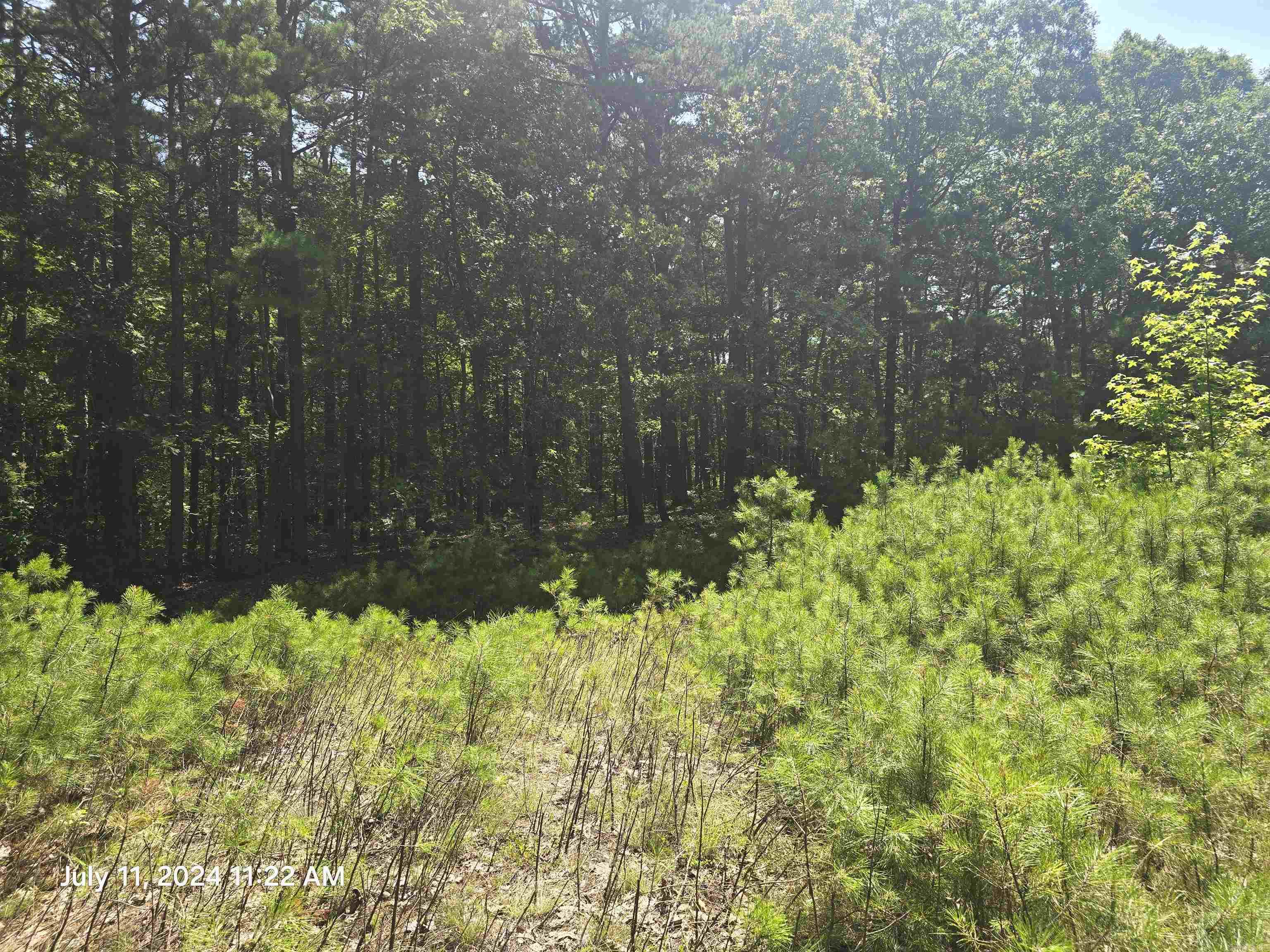 0 Sunnyvale  Fairfield Bay, AR