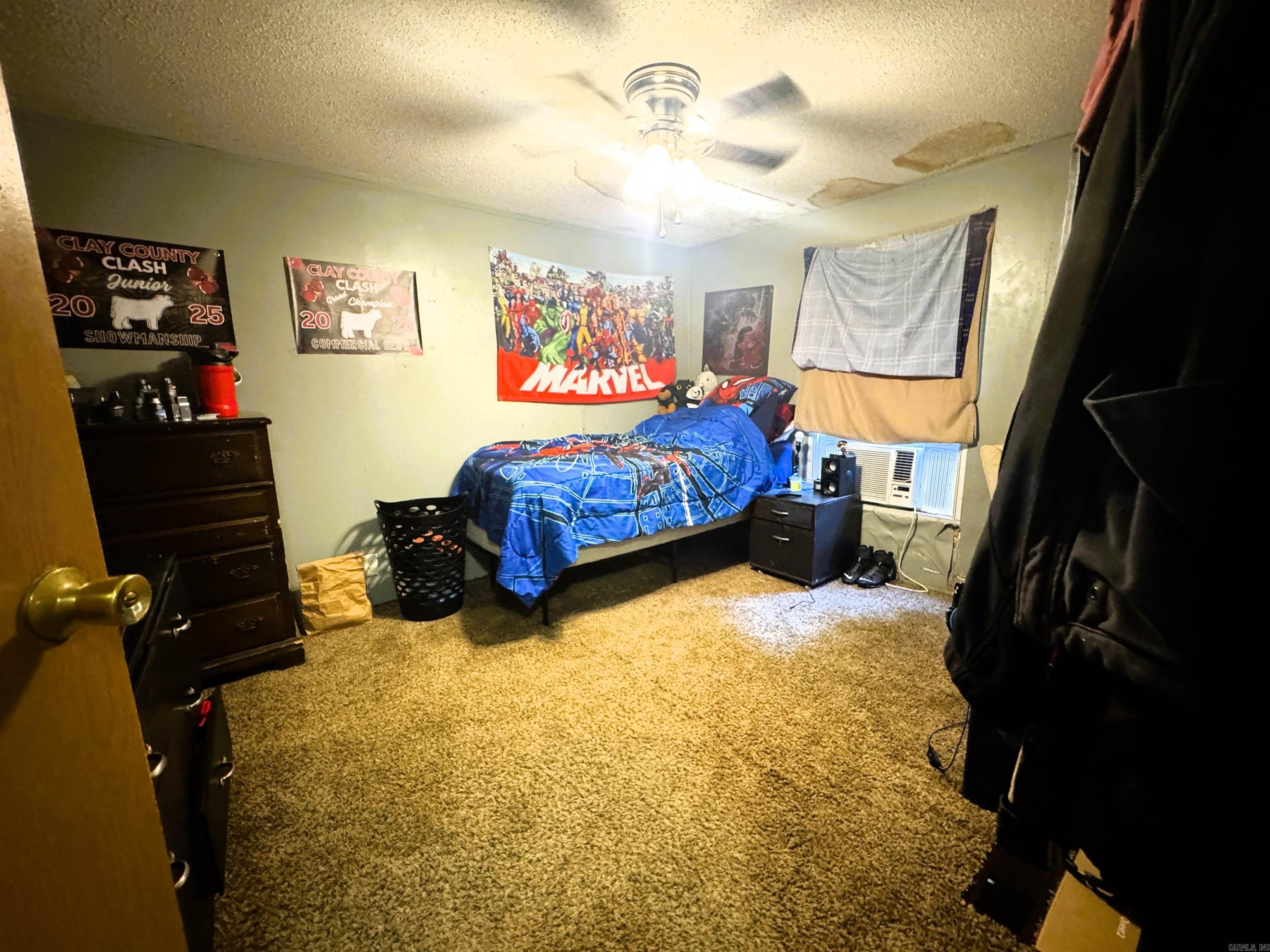 448 S 16th  Piggott, AR