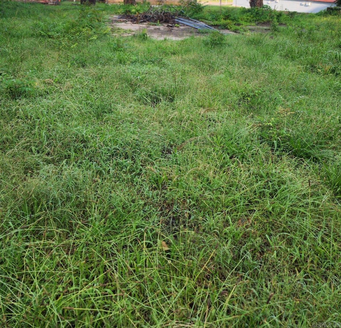 1101 S Tenth Street  Mena, AR