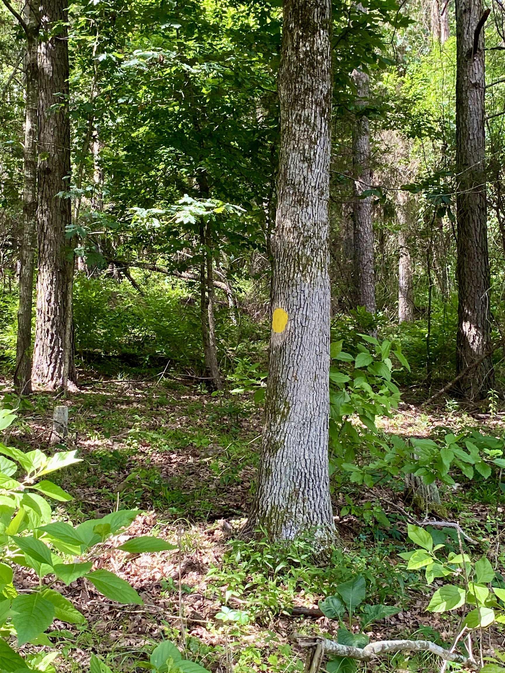 5.45 Acres +/- Off PR 3629  Lamar, AR