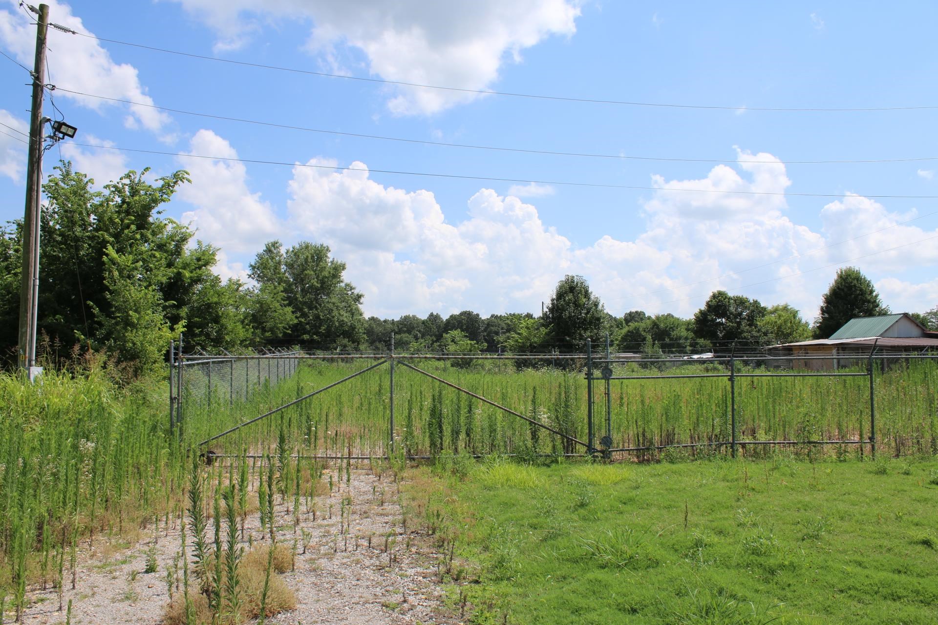 657 CR 706  Jonesboro, AR