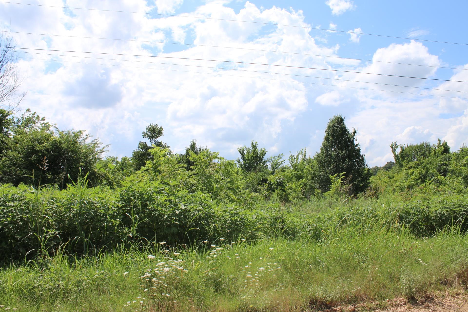657 CR 706  Jonesboro, AR