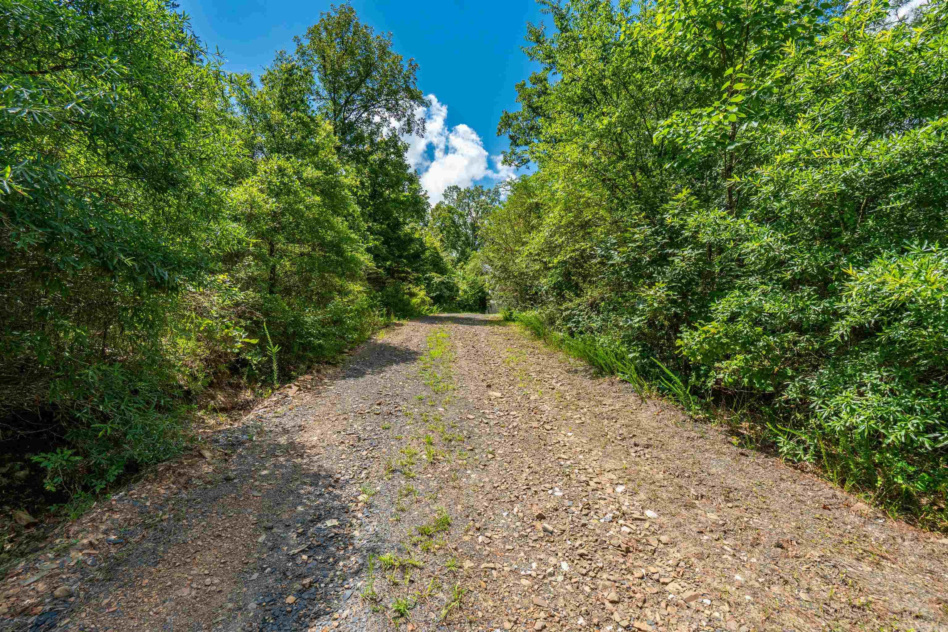 767 Red Wings Rd  Bismarck, AR