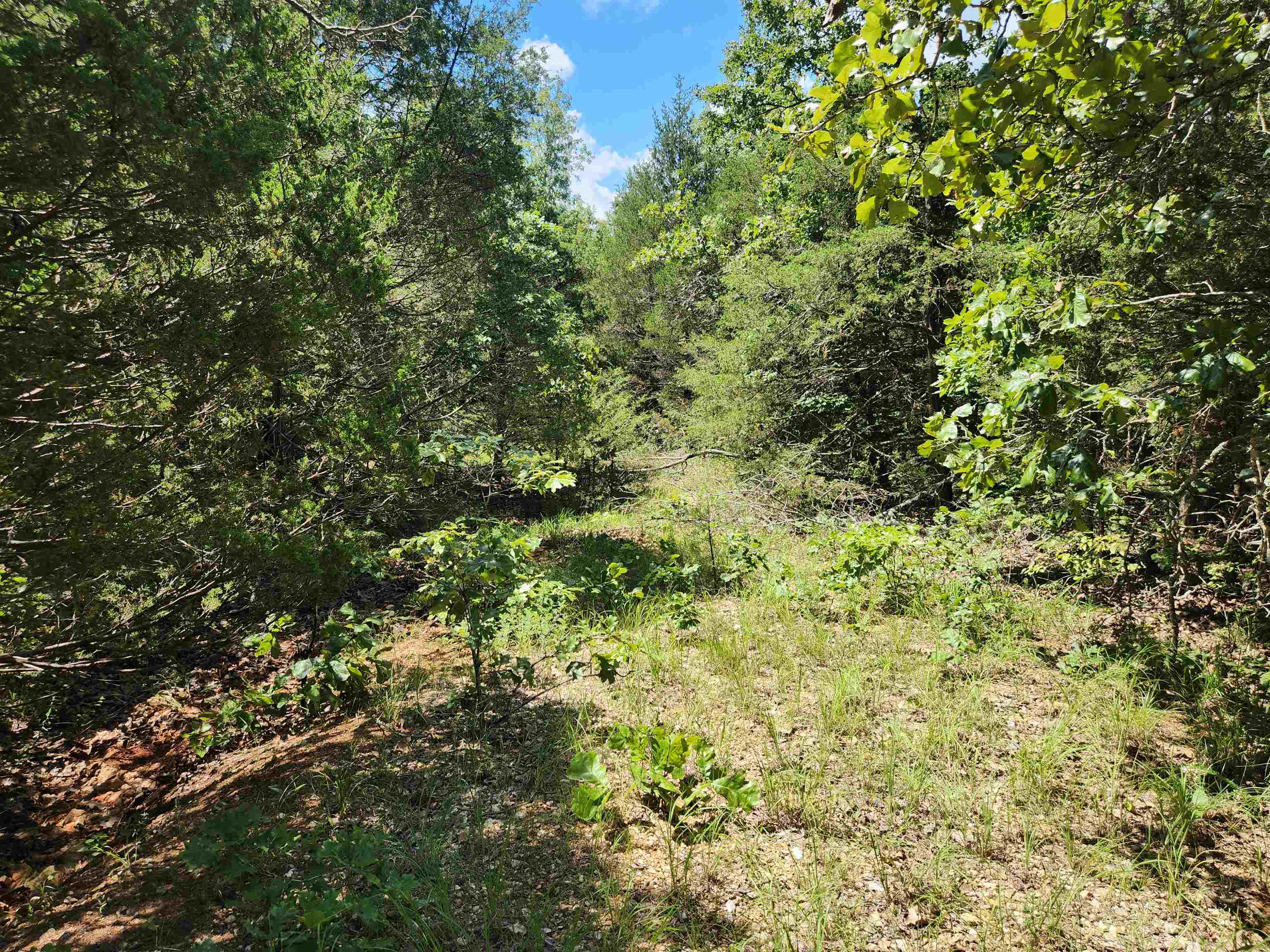 L35B2 Black Cloud  Cherokee Village, AR