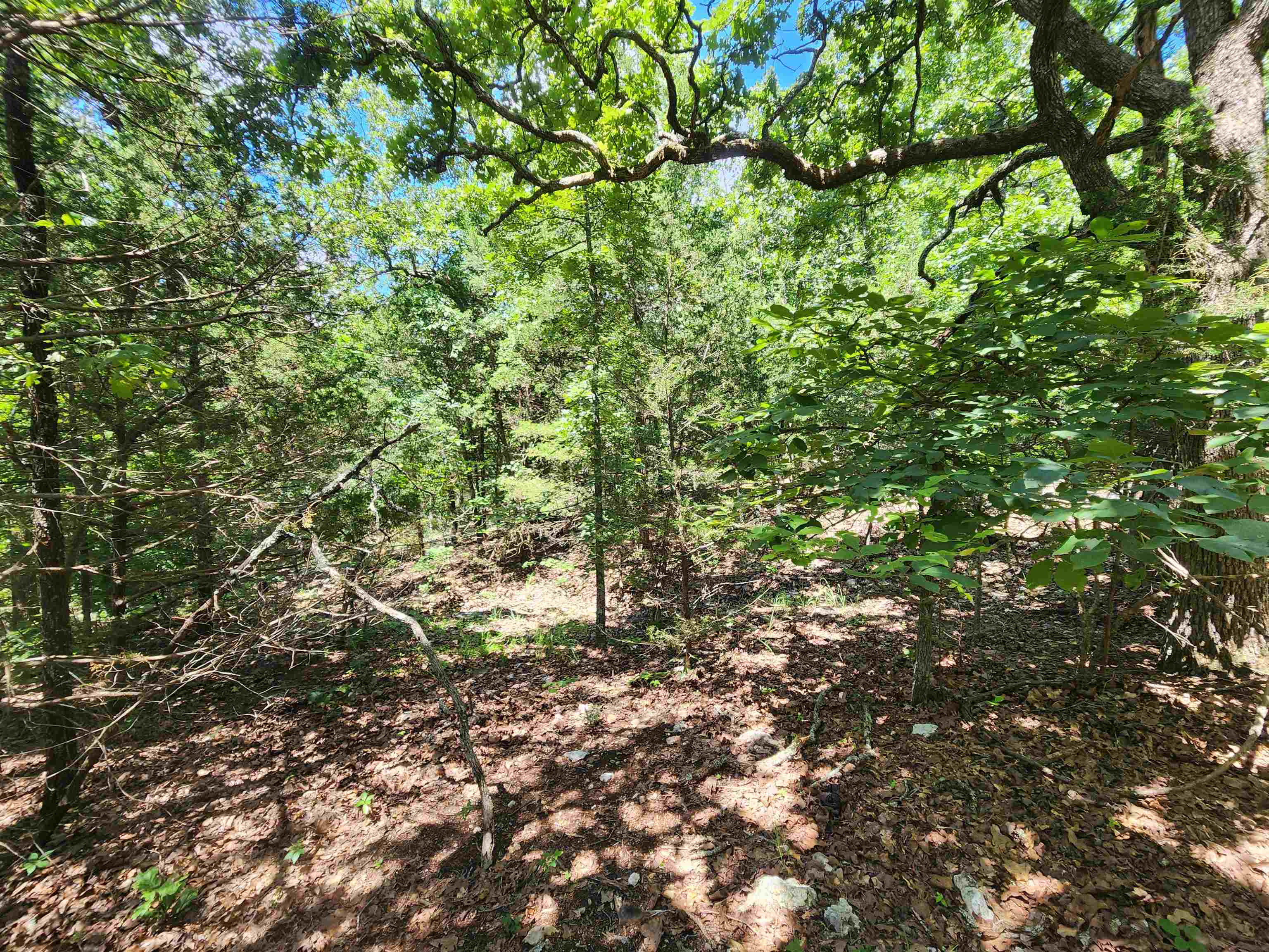 L35B2 Black Cloud  Cherokee Village, AR