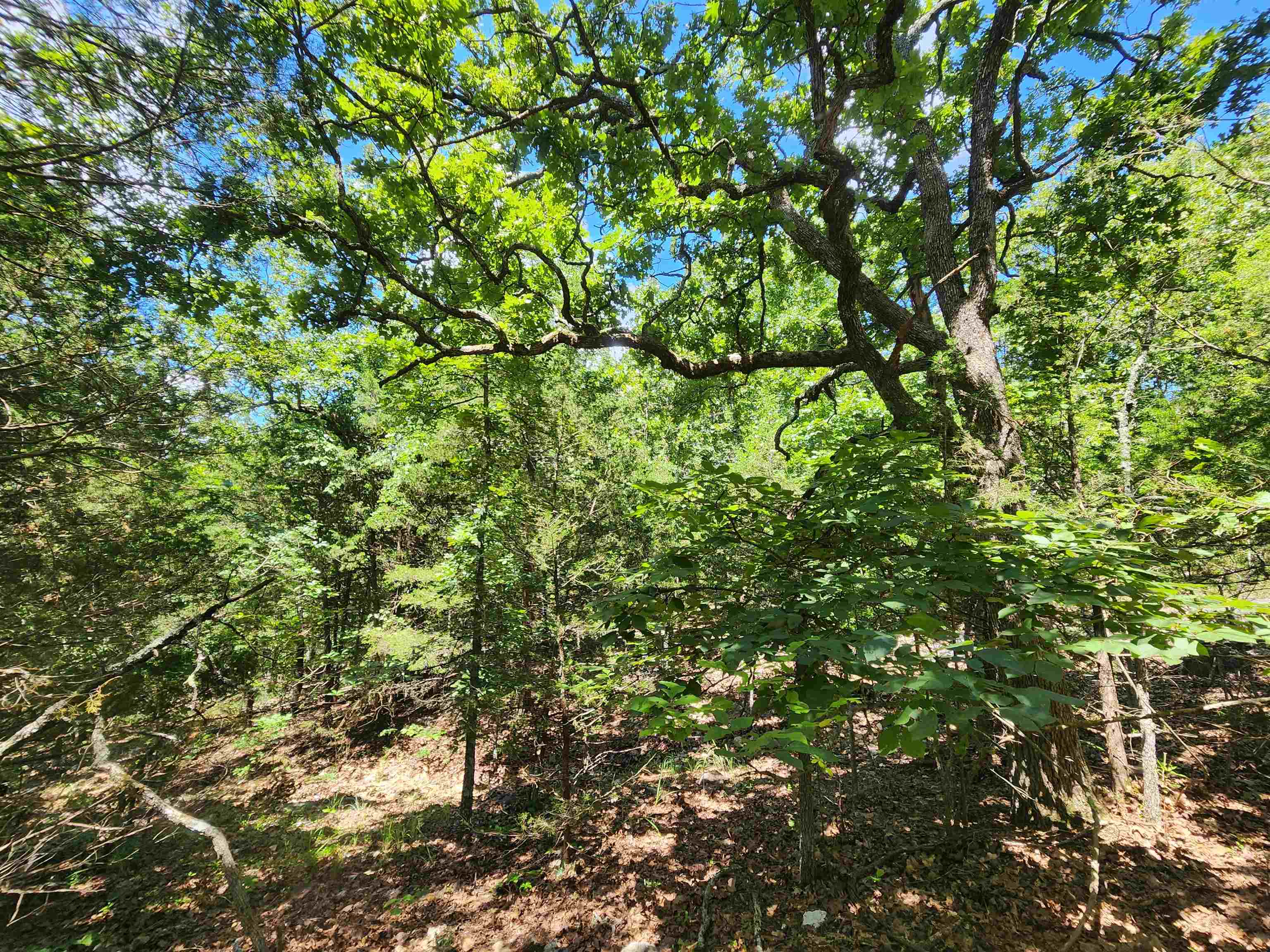 L35B2 Black Cloud  Cherokee Village, AR