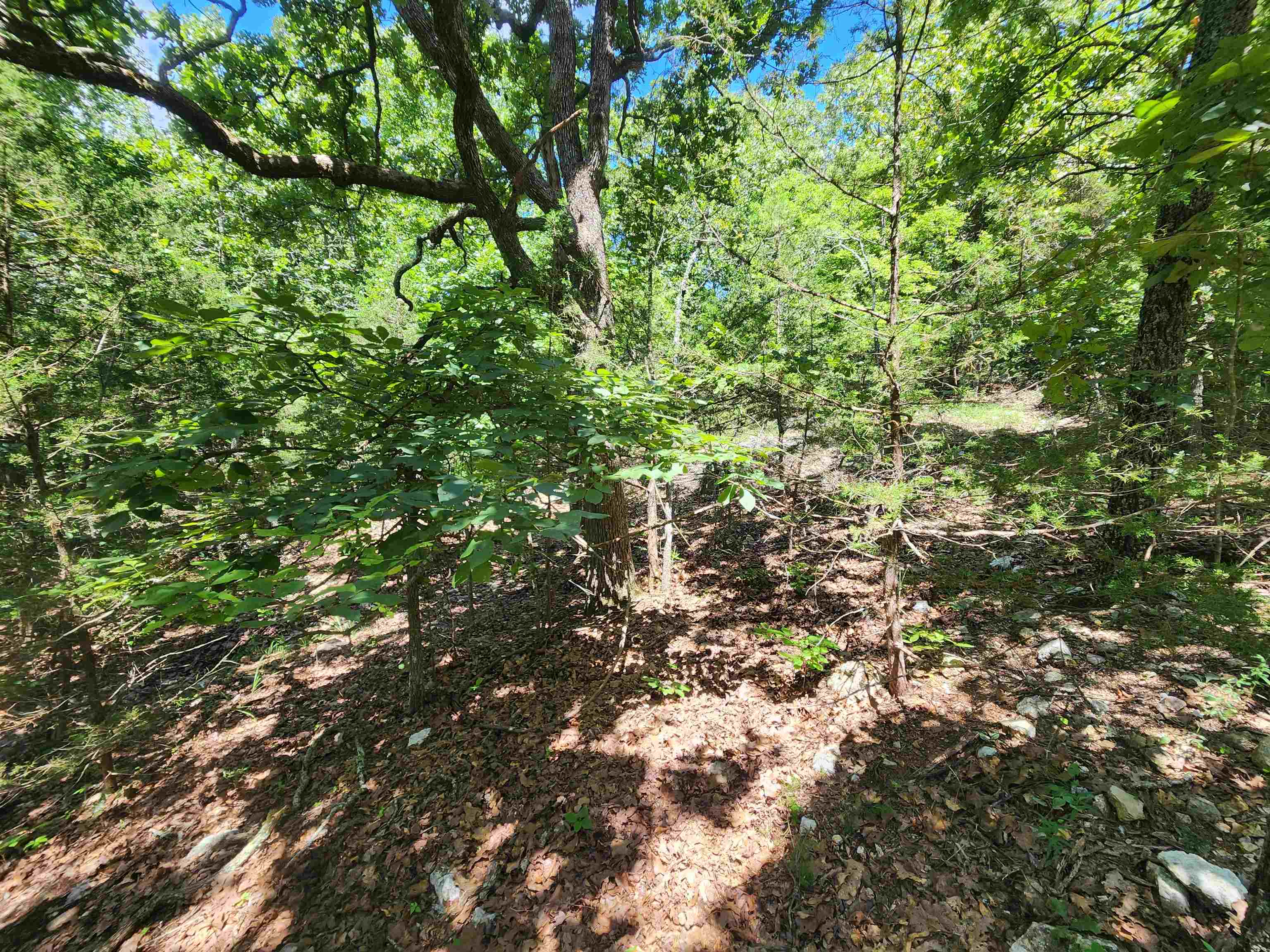 L35B2 Black Cloud  Cherokee Village, AR