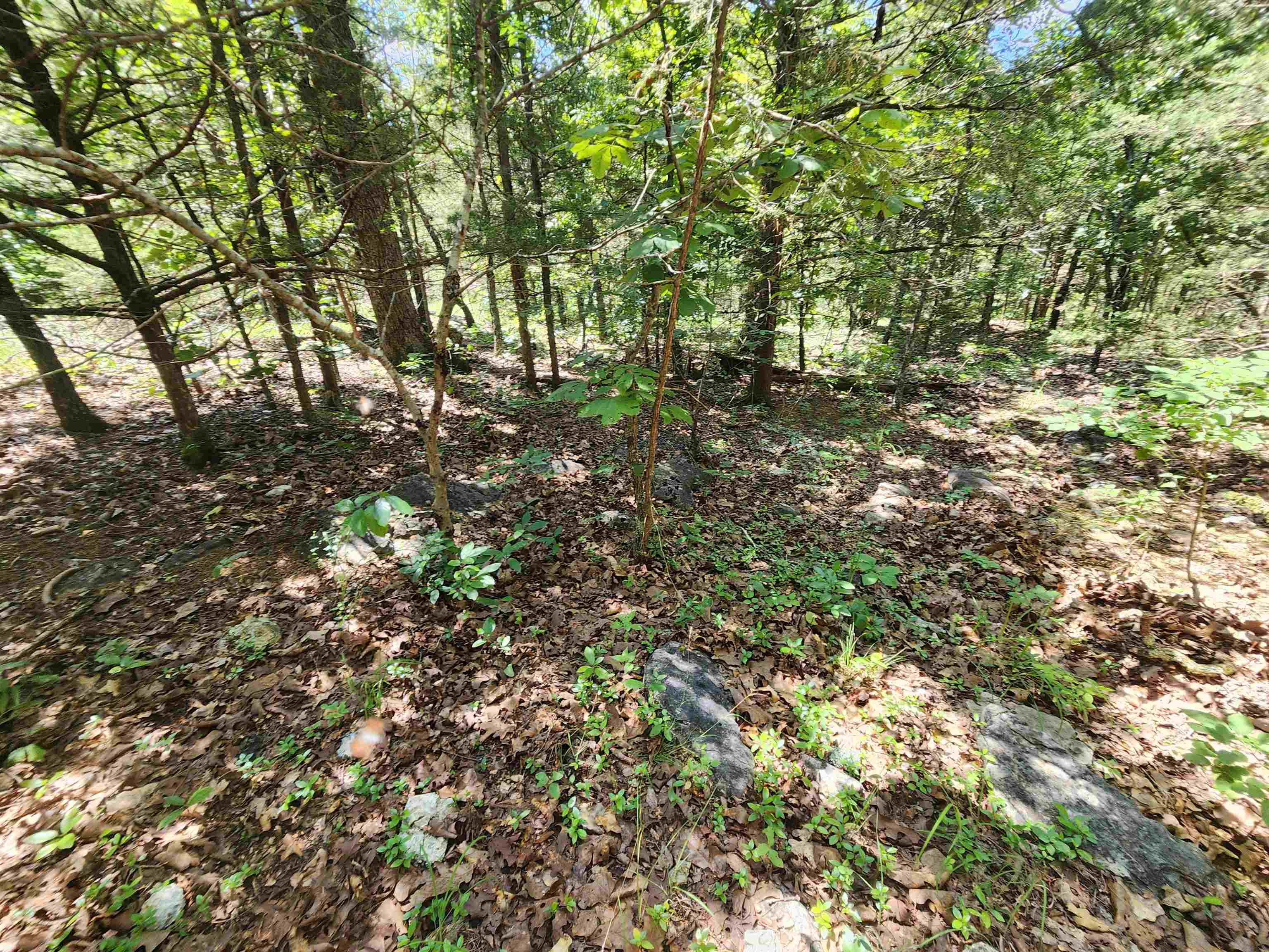 L35B2 Black Cloud  Cherokee Village, AR