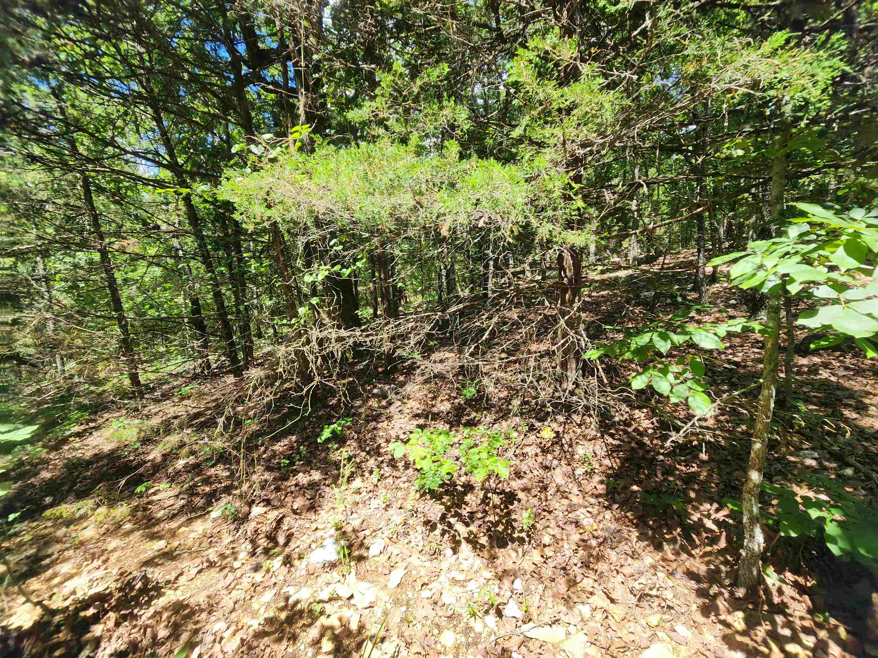 L35B2 Black Cloud  Cherokee Village, AR