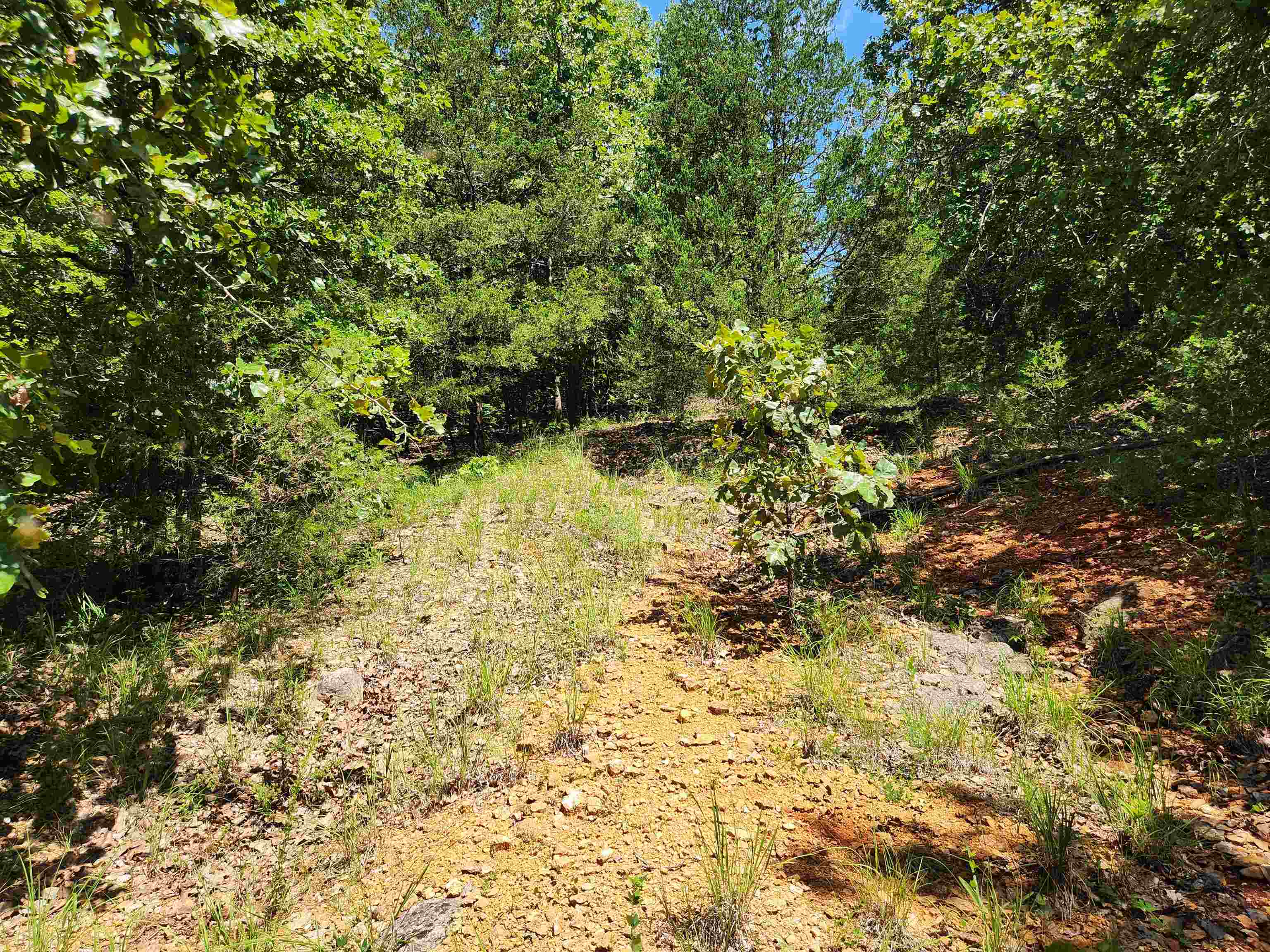 L35B2 Black Cloud  Cherokee Village, AR
