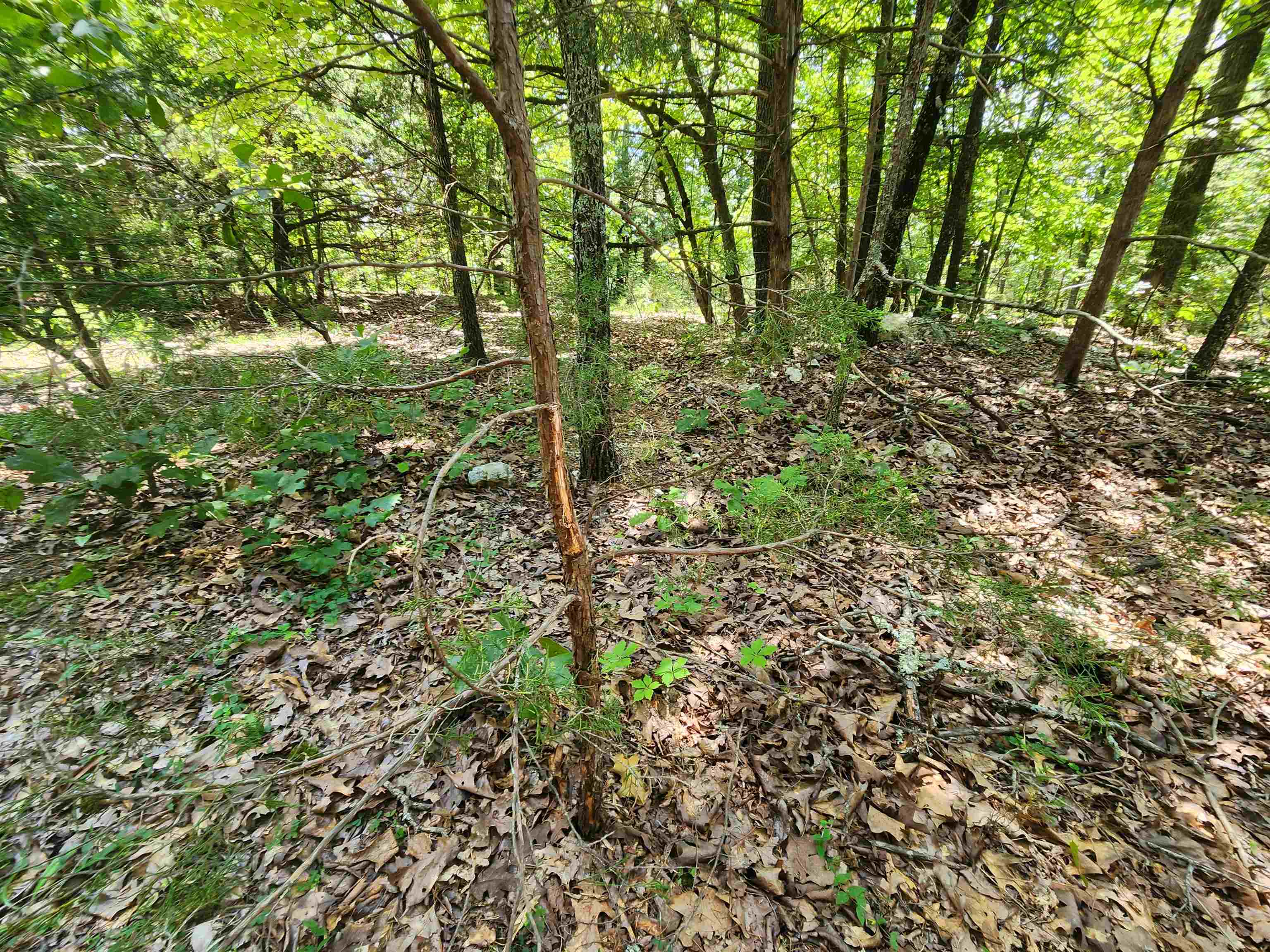 L35B2 Black Cloud  Cherokee Village, AR