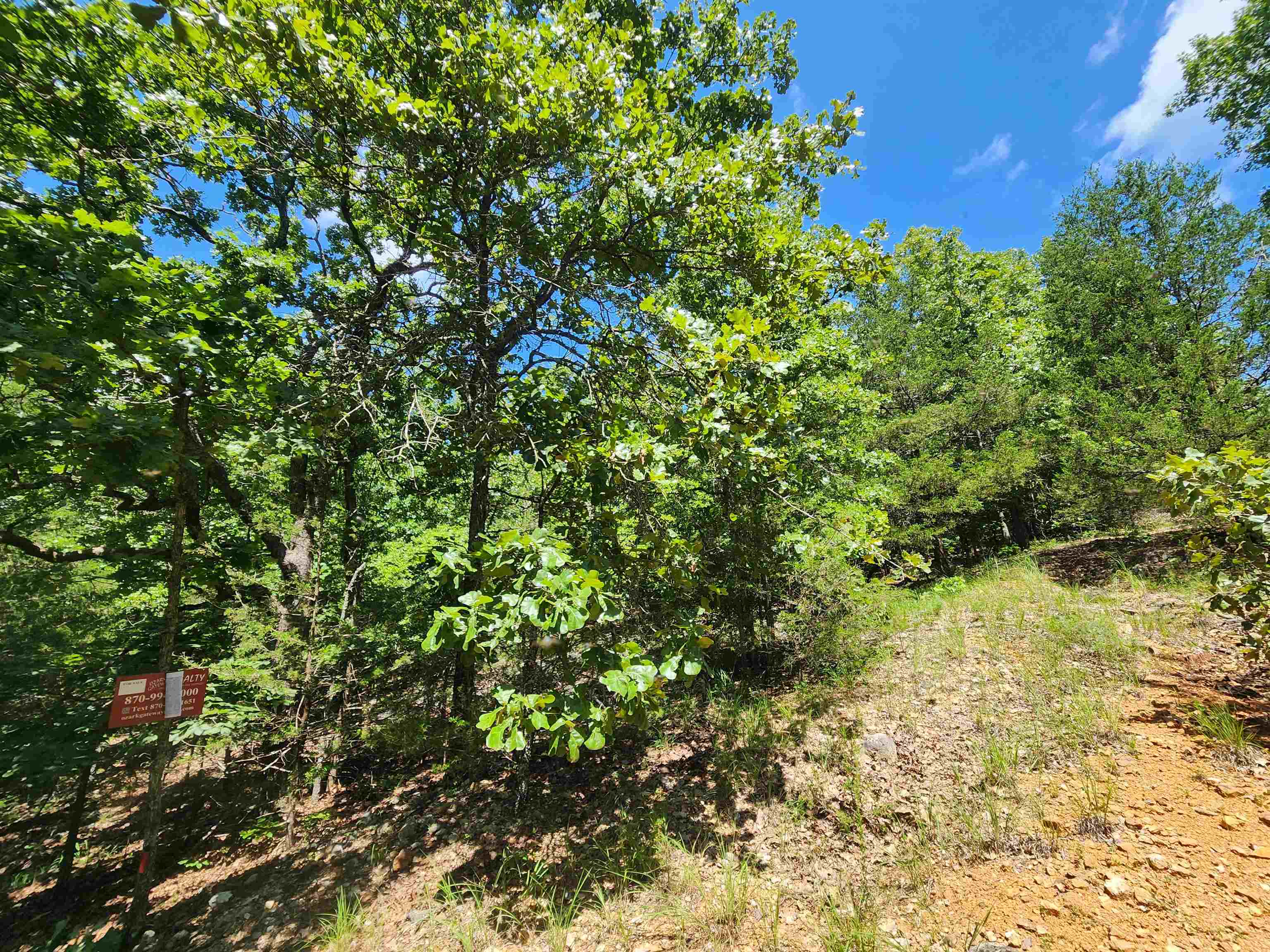 L35B2 Black Cloud  Cherokee Village, AR