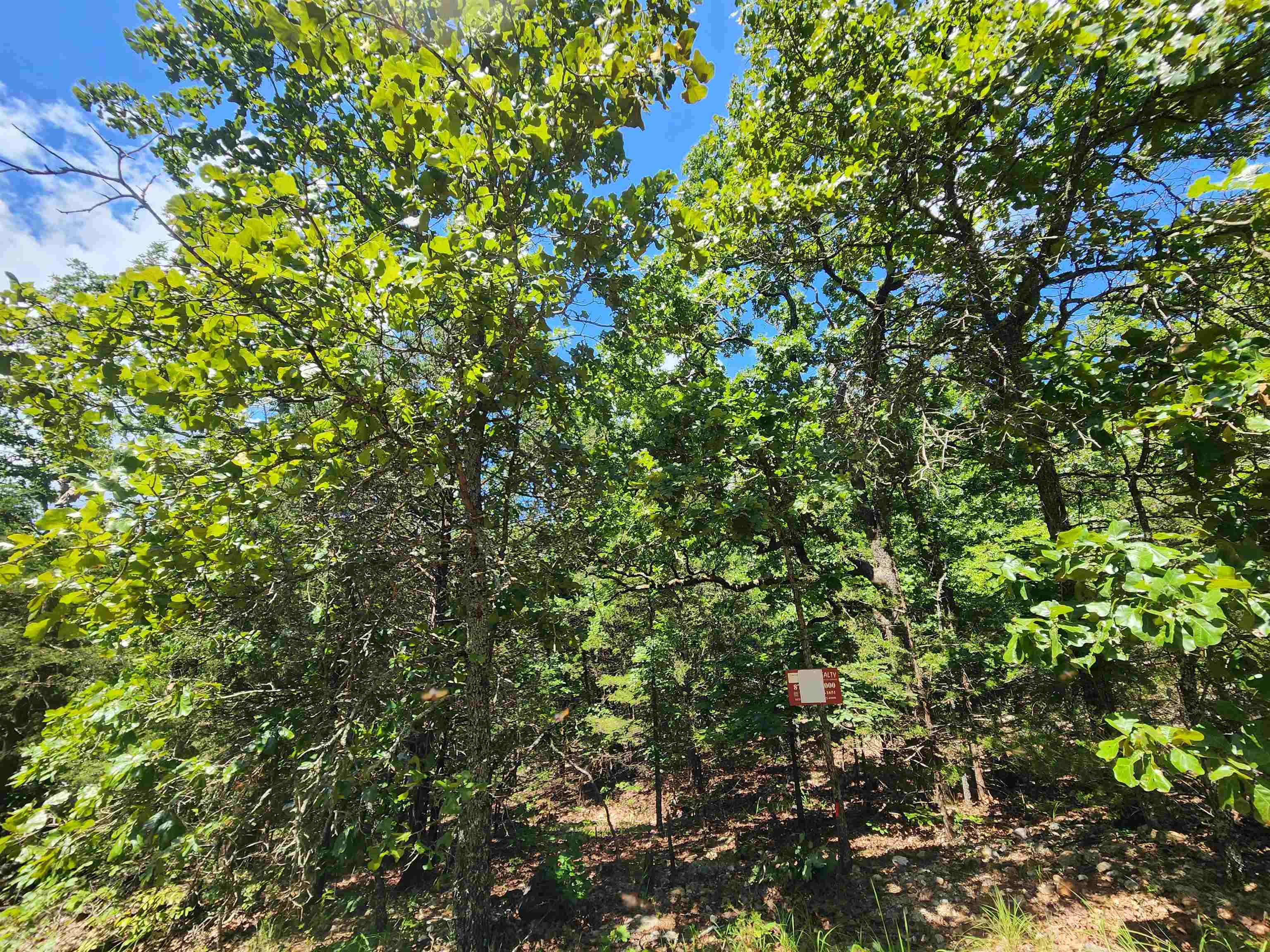 L35B2 Black Cloud  Cherokee Village, AR