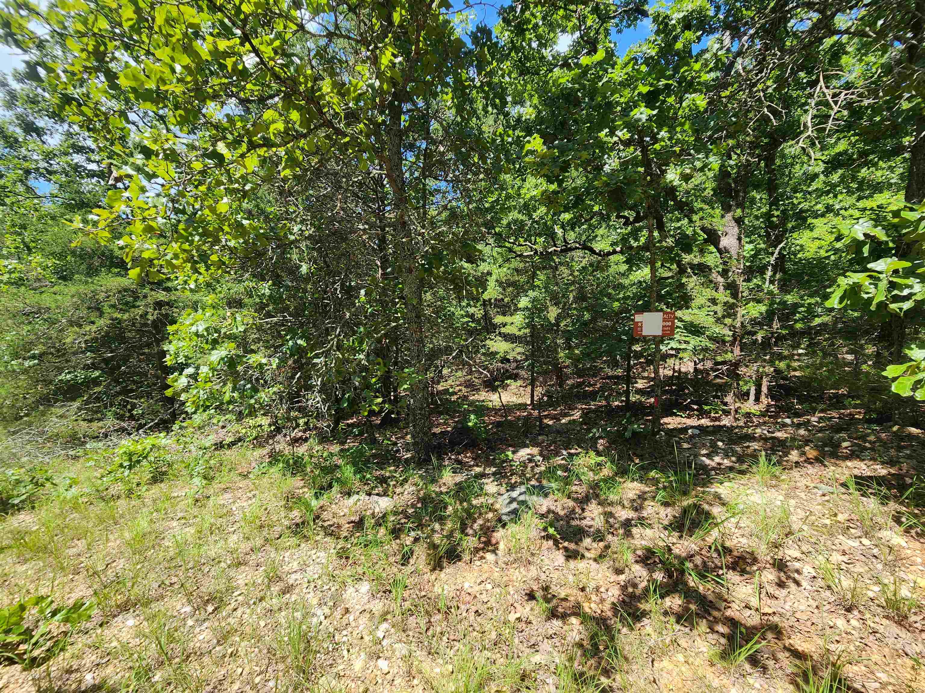 L35B2 Black Cloud  Cherokee Village, AR