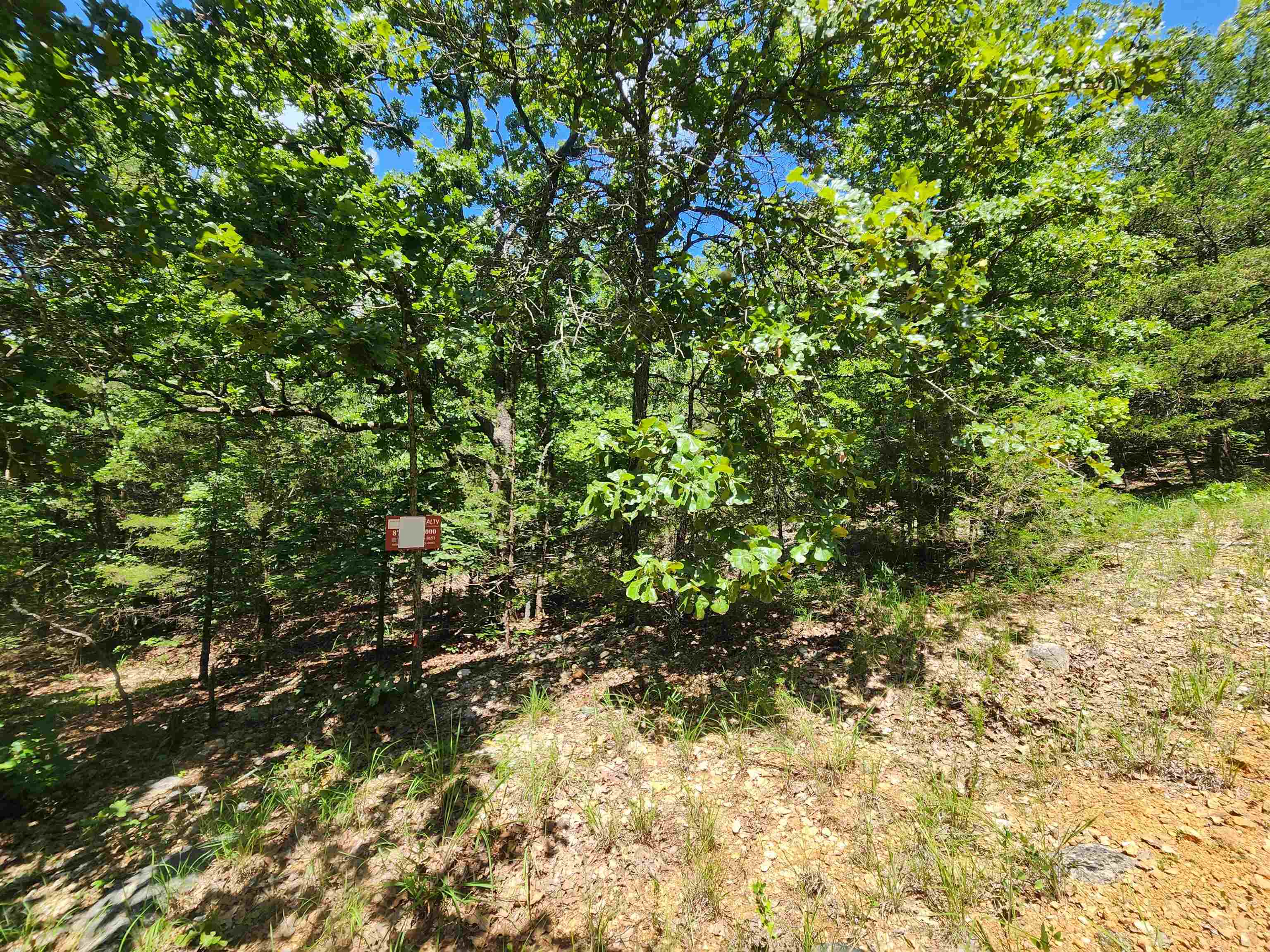L35B2 Black Cloud  Cherokee Village, AR