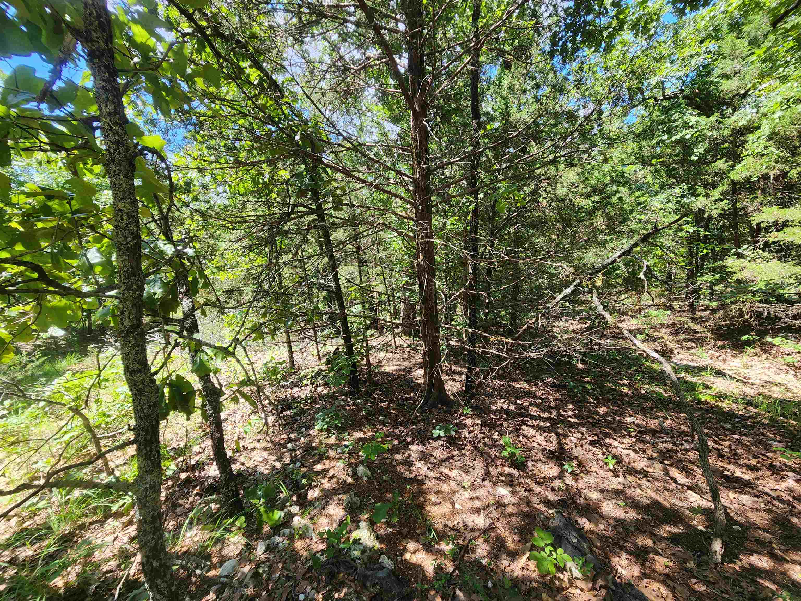 L35B2 Black Cloud  Cherokee Village, AR