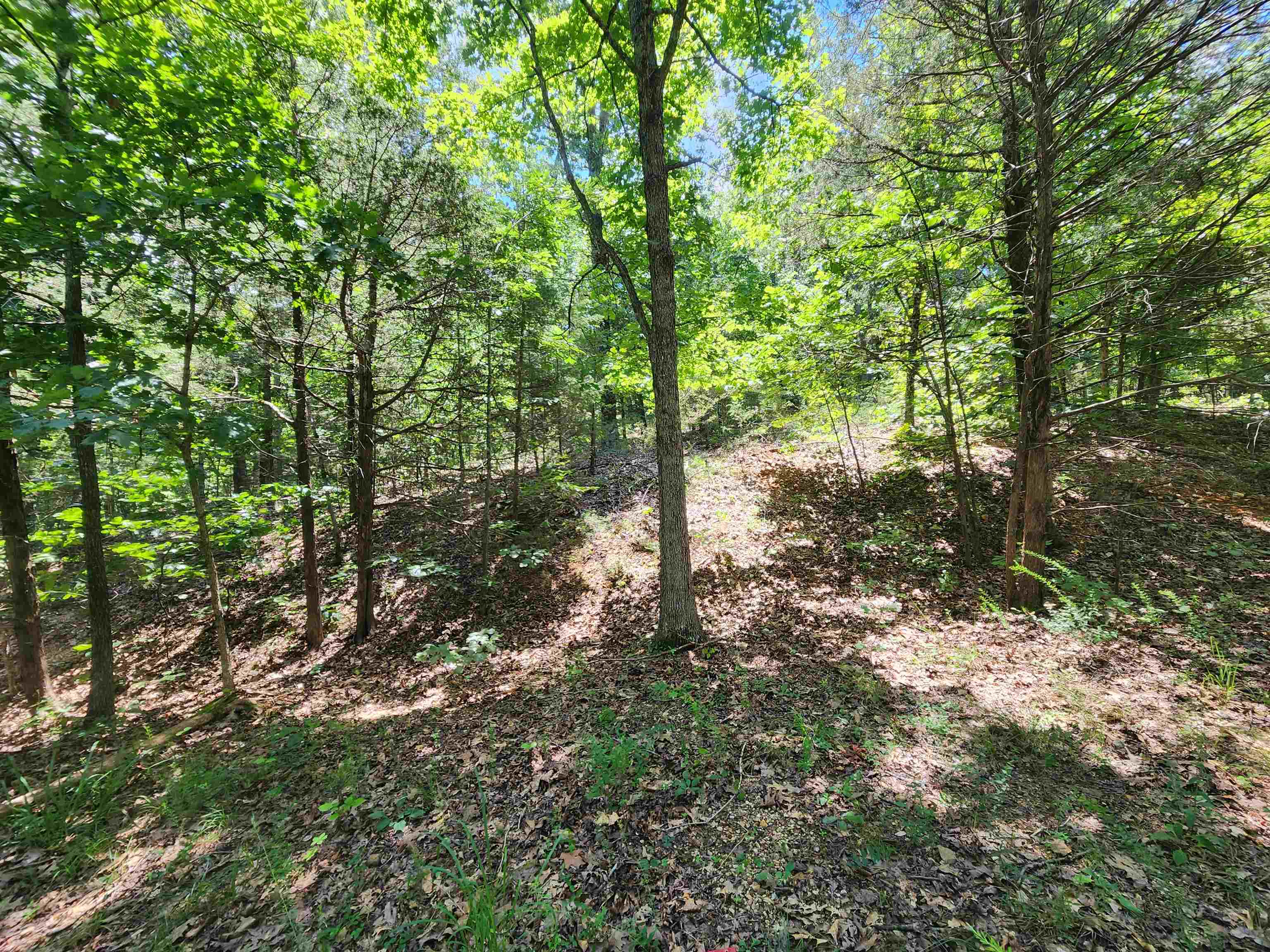 L10B9 Quarez  Cherokee Village, AR