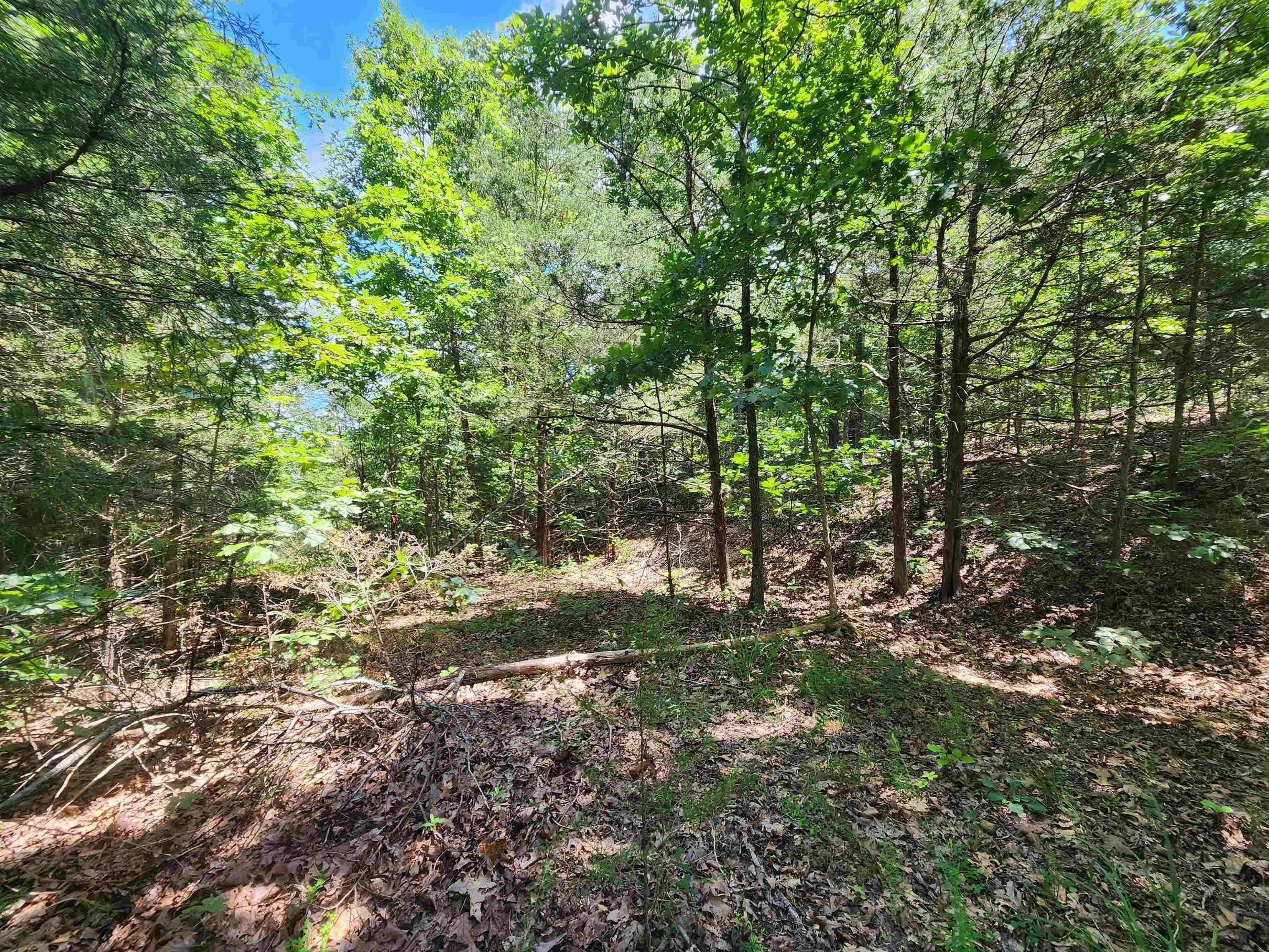 L10B9 Quarez  Cherokee Village, AR