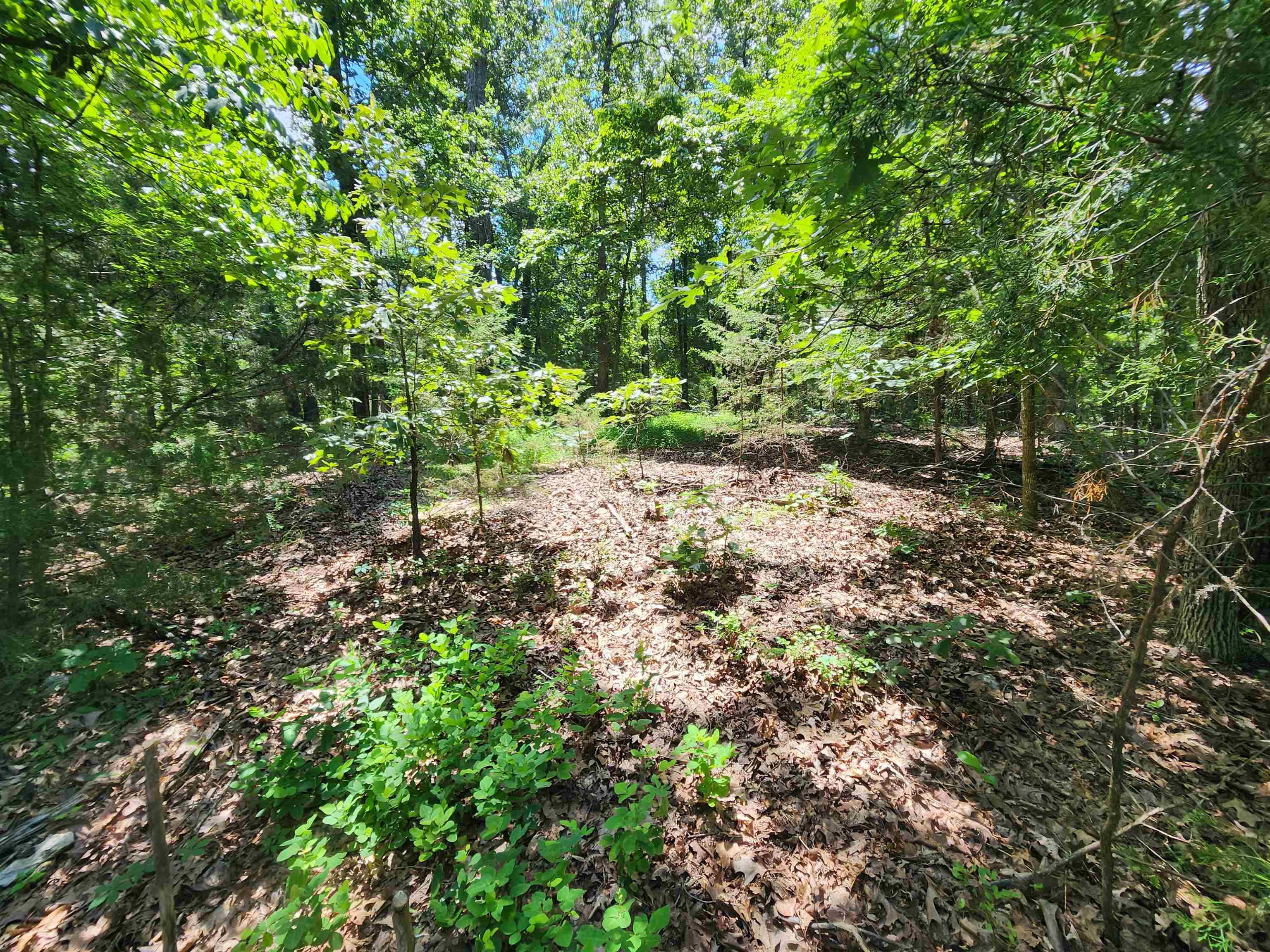 L10B9 Quarez  Cherokee Village, AR