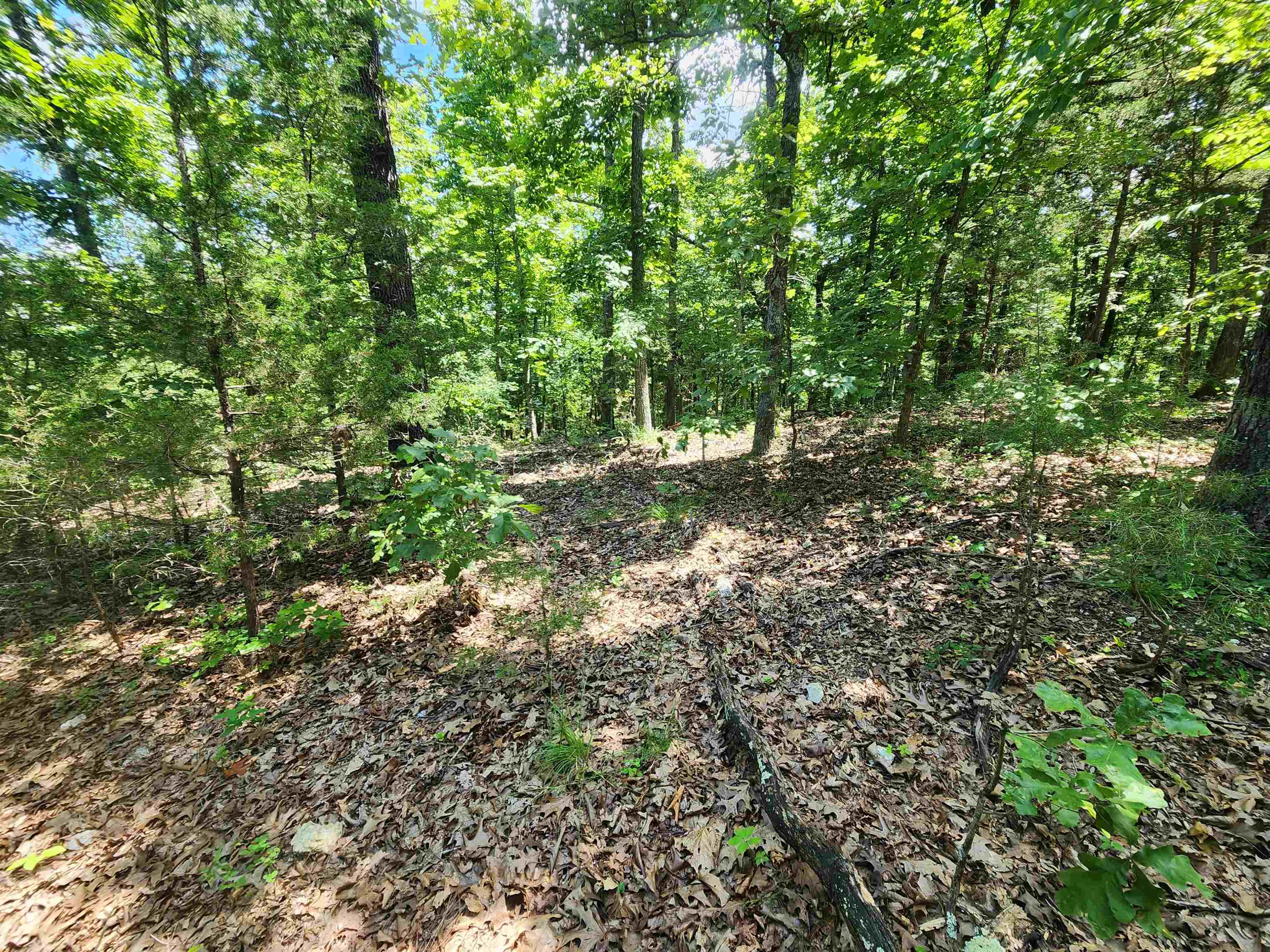 L10B9 Quarez  Cherokee Village, AR