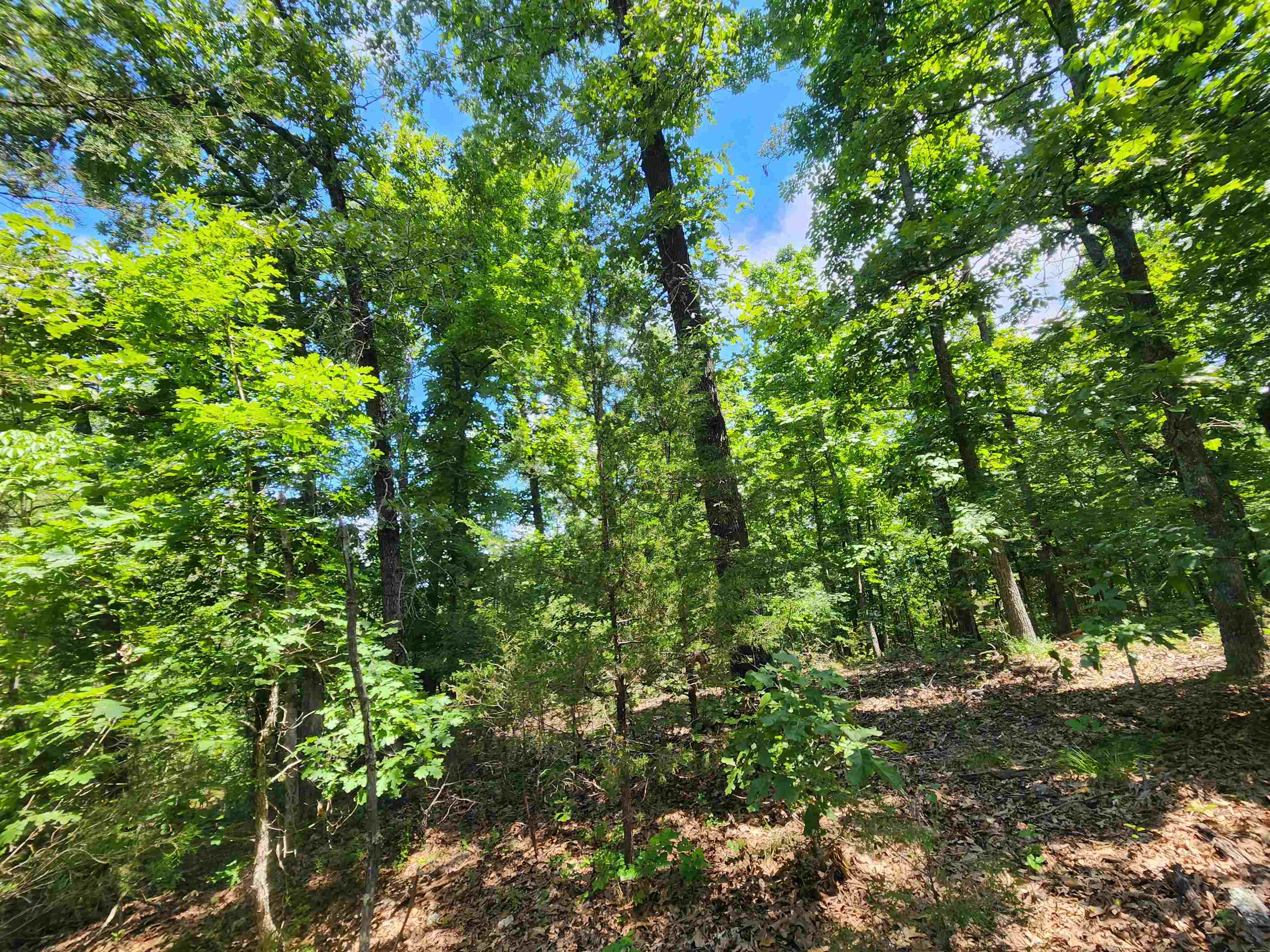 L10B9 Quarez  Cherokee Village, AR