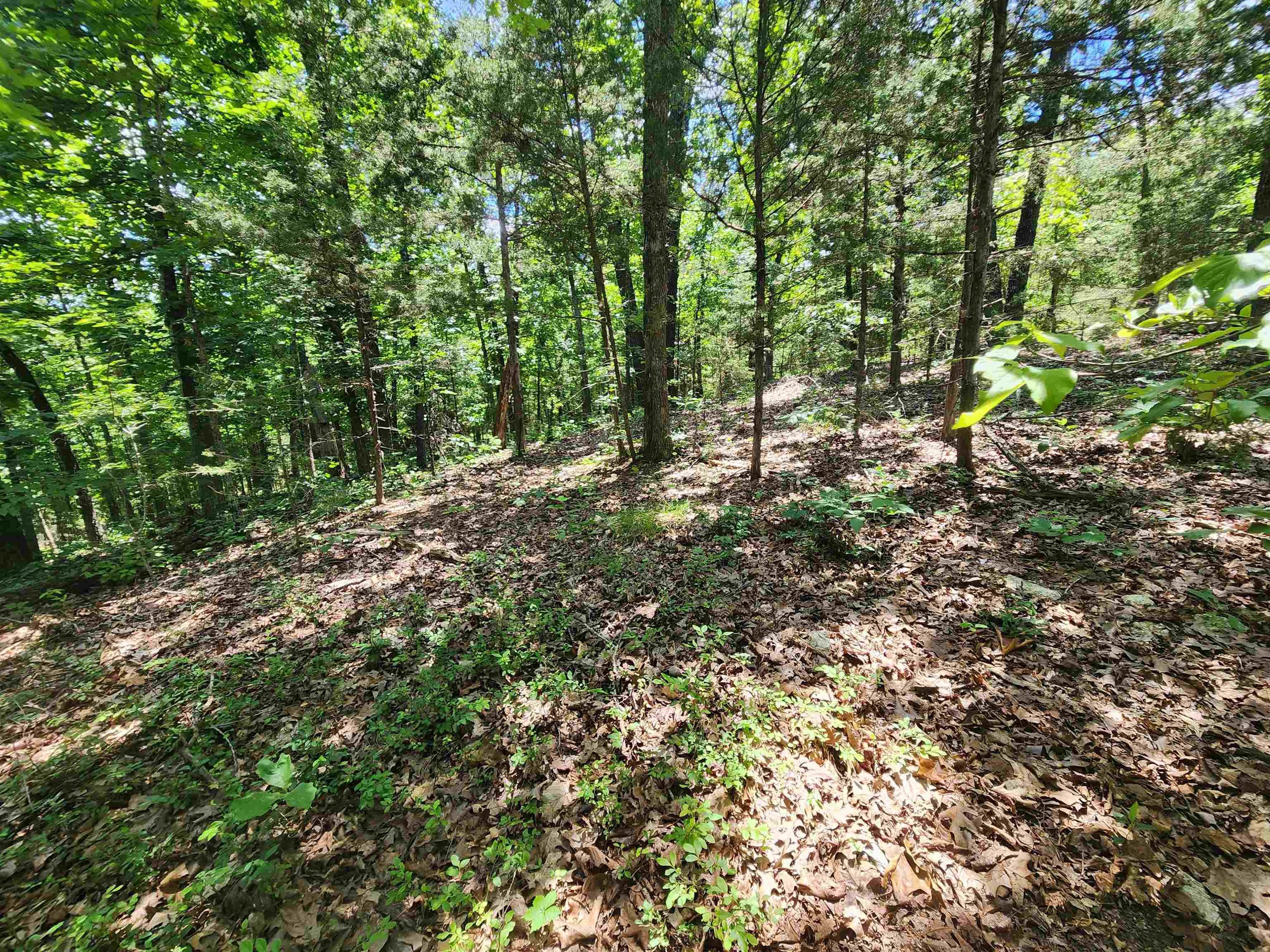 L10B9 Quarez  Cherokee Village, AR