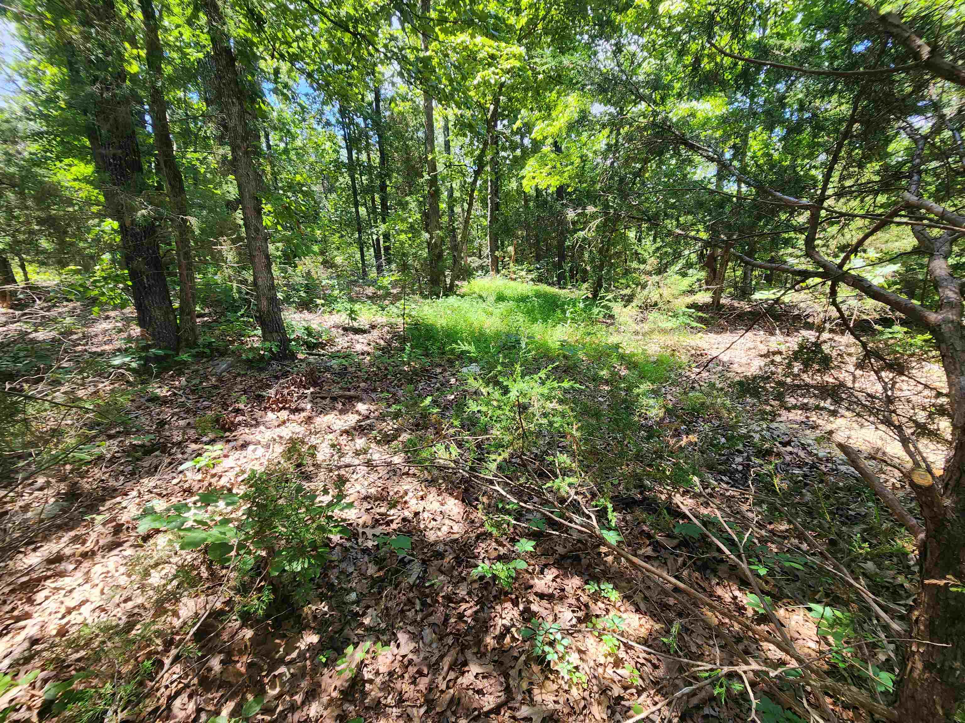 L10B9 Quarez  Cherokee Village, AR