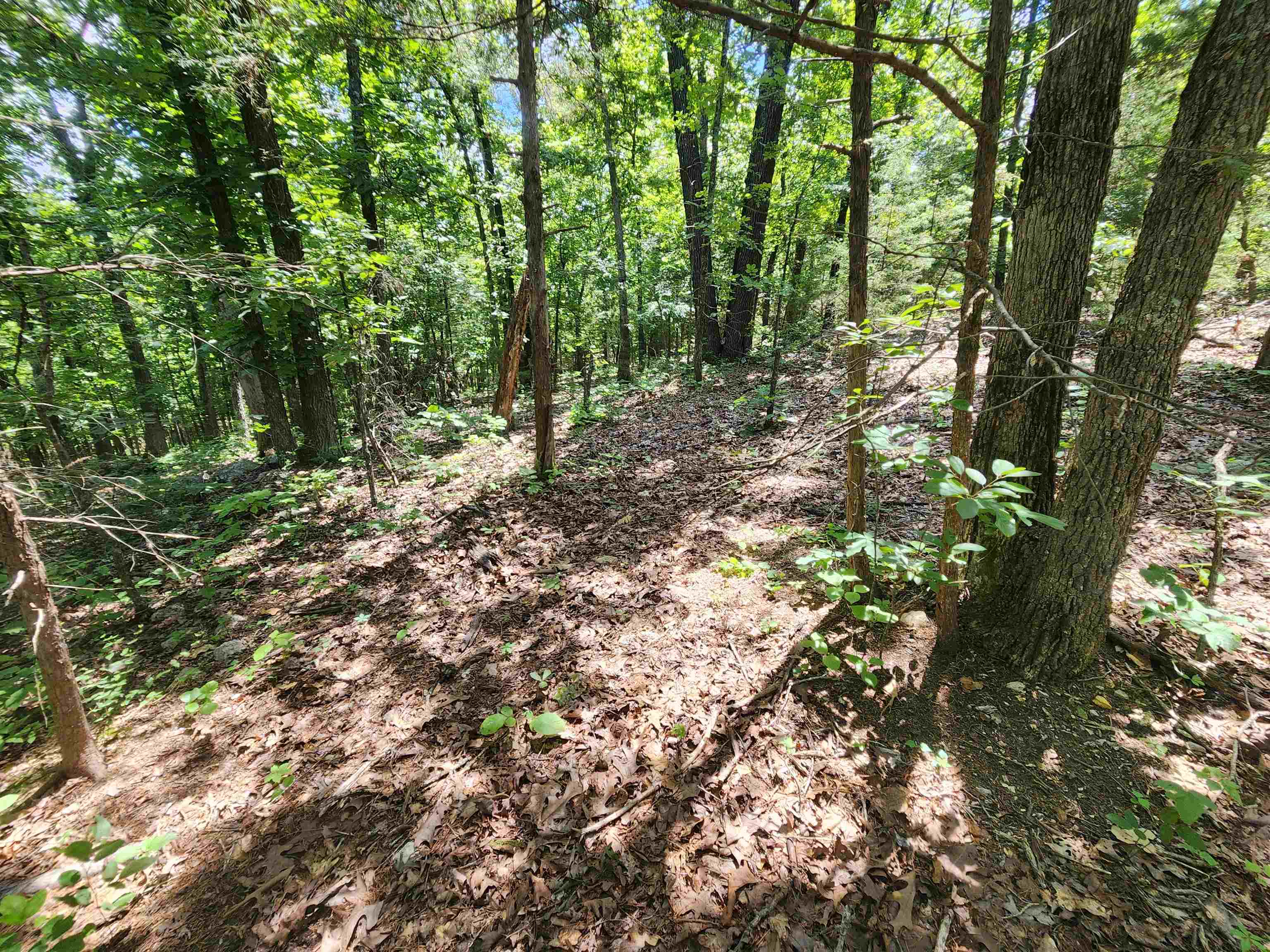 L10B9 Quarez  Cherokee Village, AR