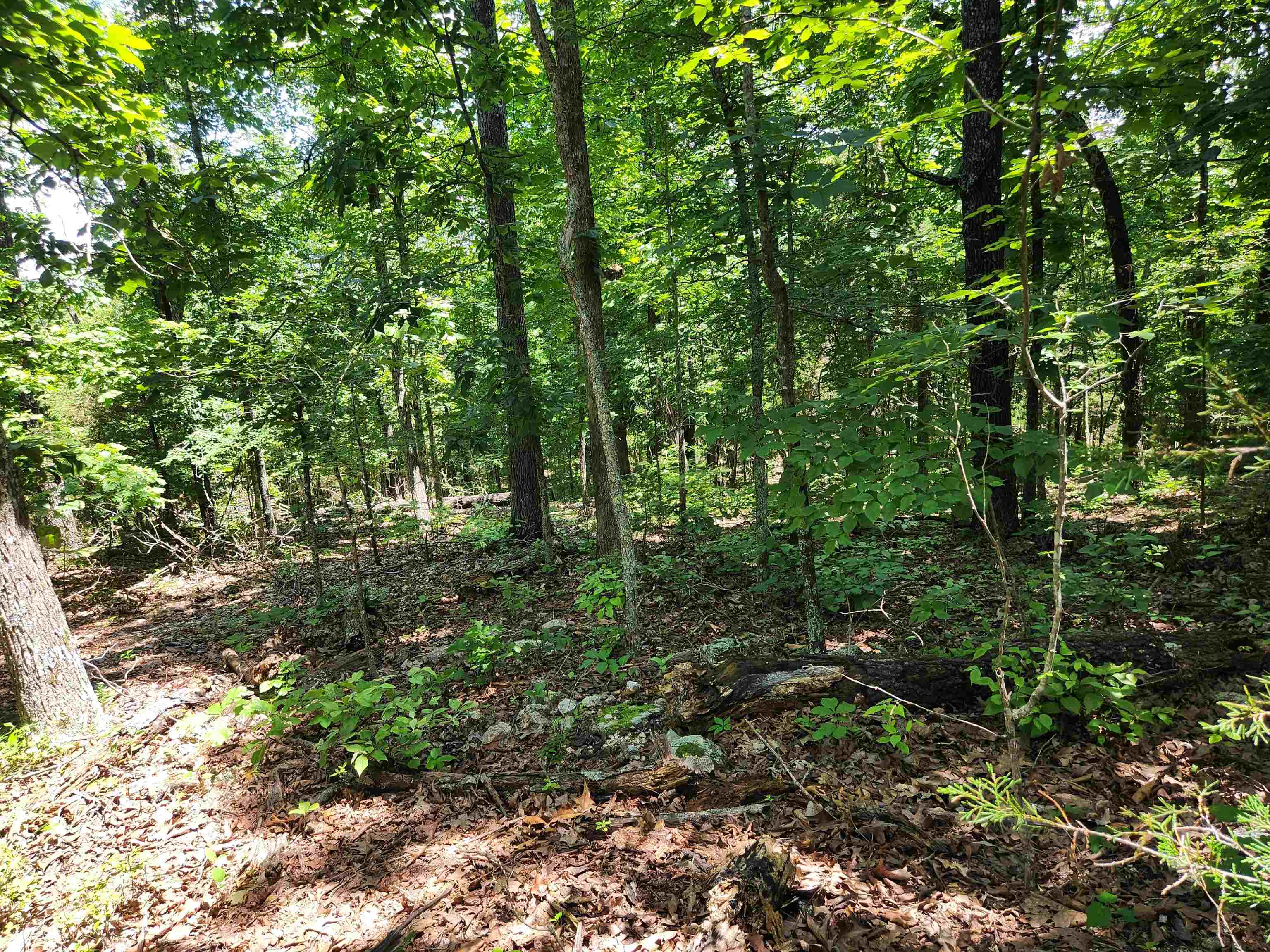 L10B9 Quarez  Cherokee Village, AR