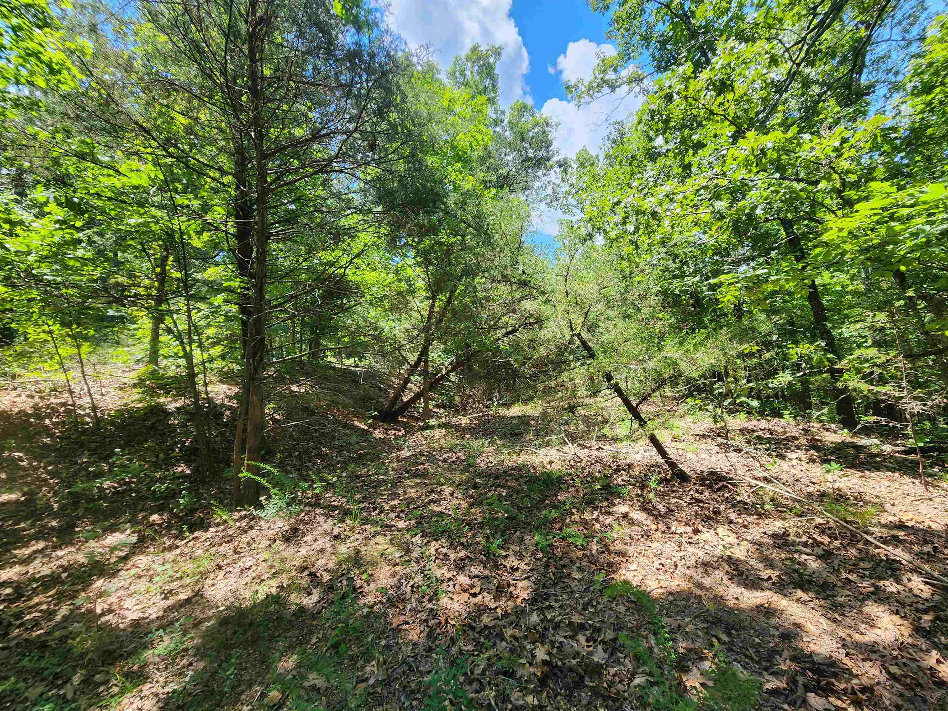 L10B9 Quarez  Cherokee Village, AR