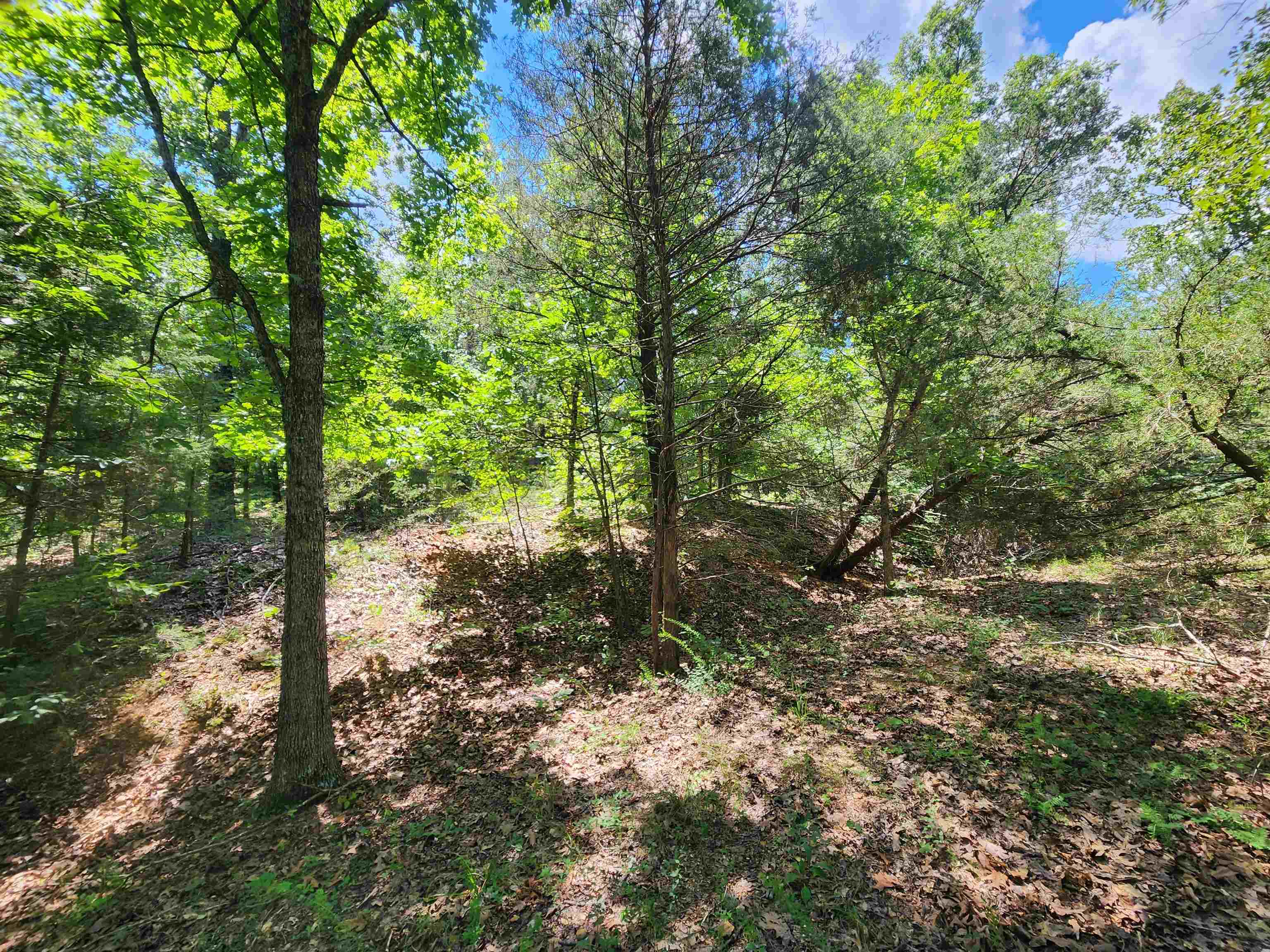 L10B9 Quarez  Cherokee Village, AR