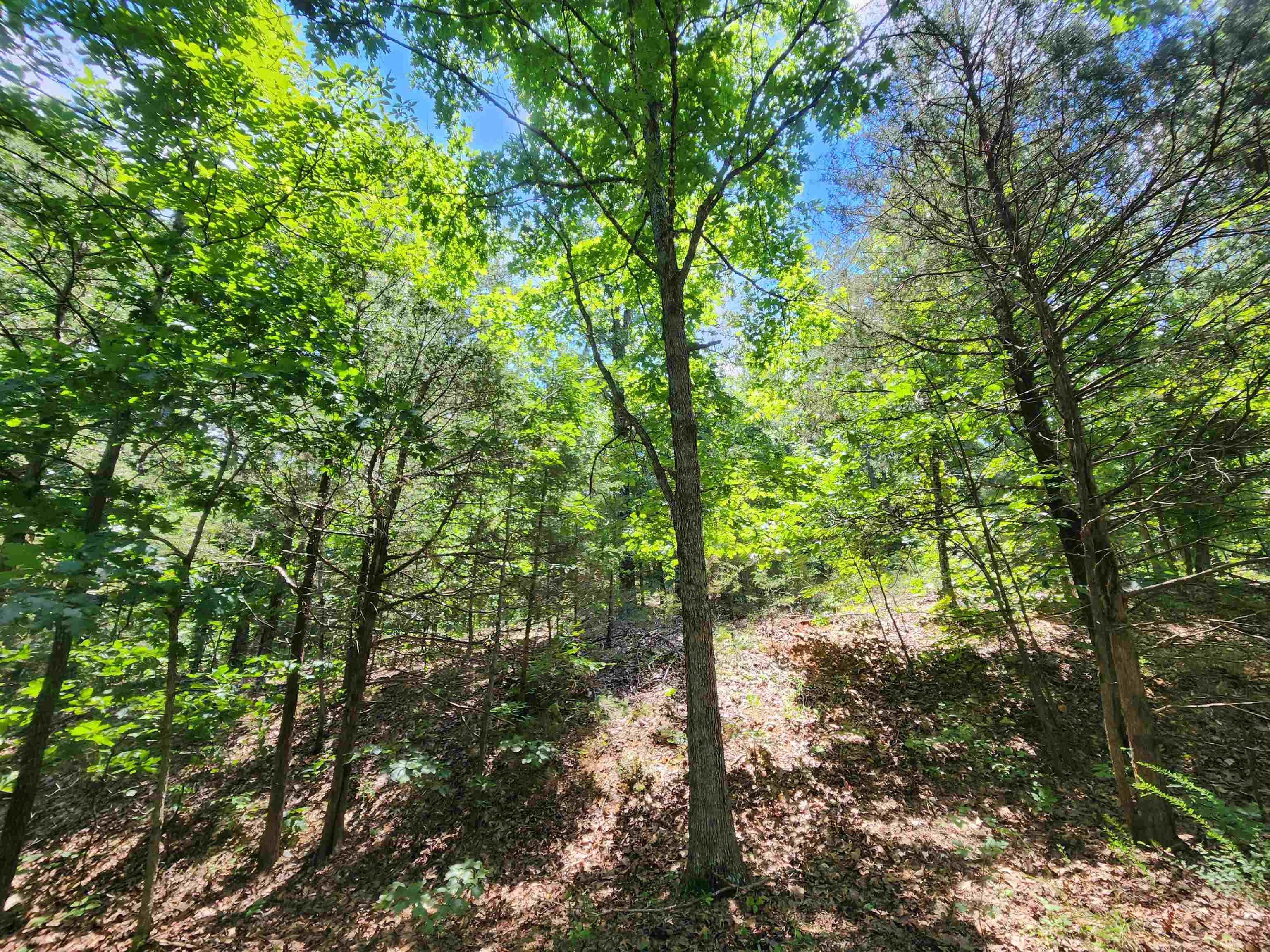 L10B9 Quarez  Cherokee Village, AR
