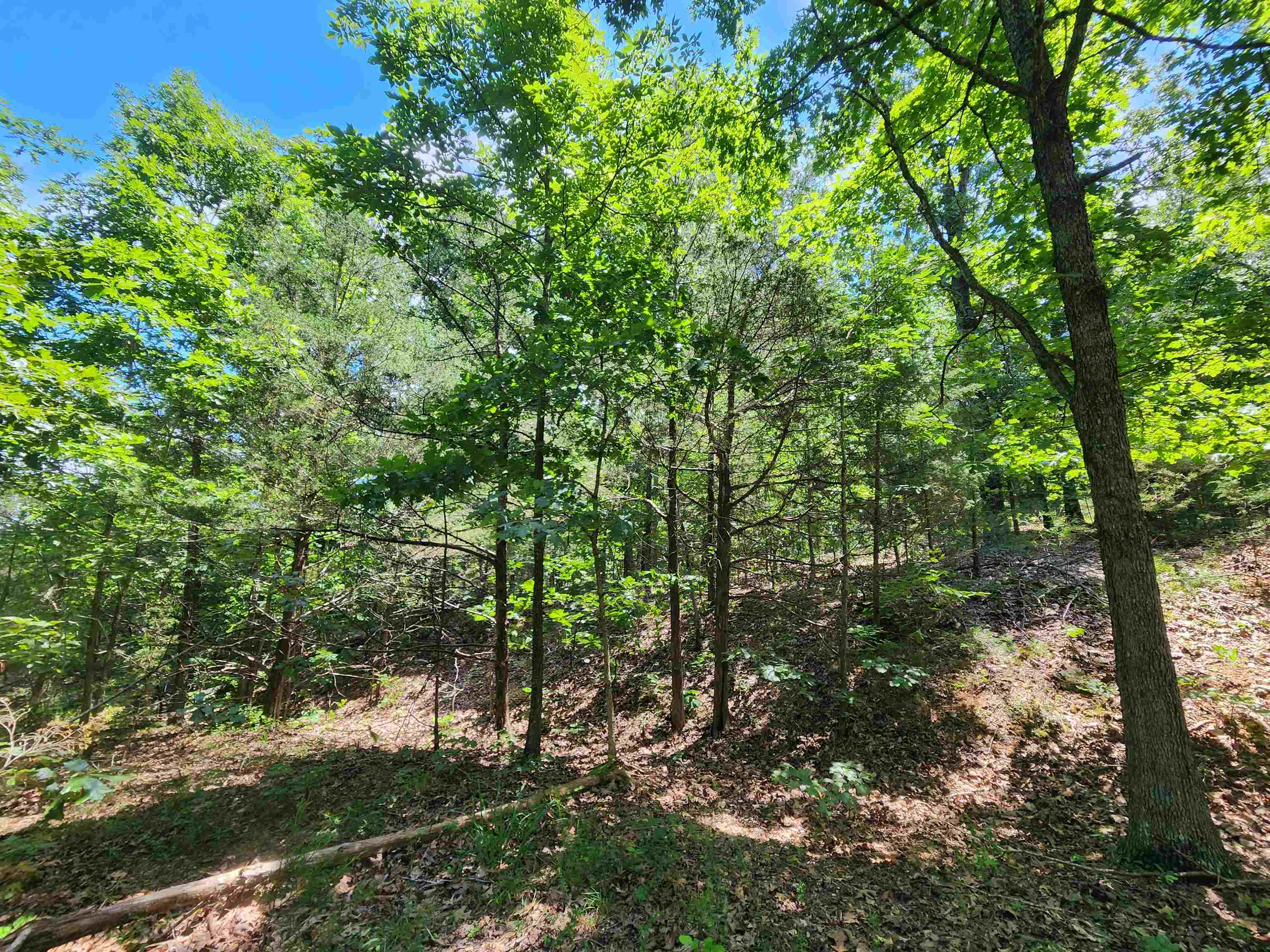 L10B9 Quarez  Cherokee Village, AR