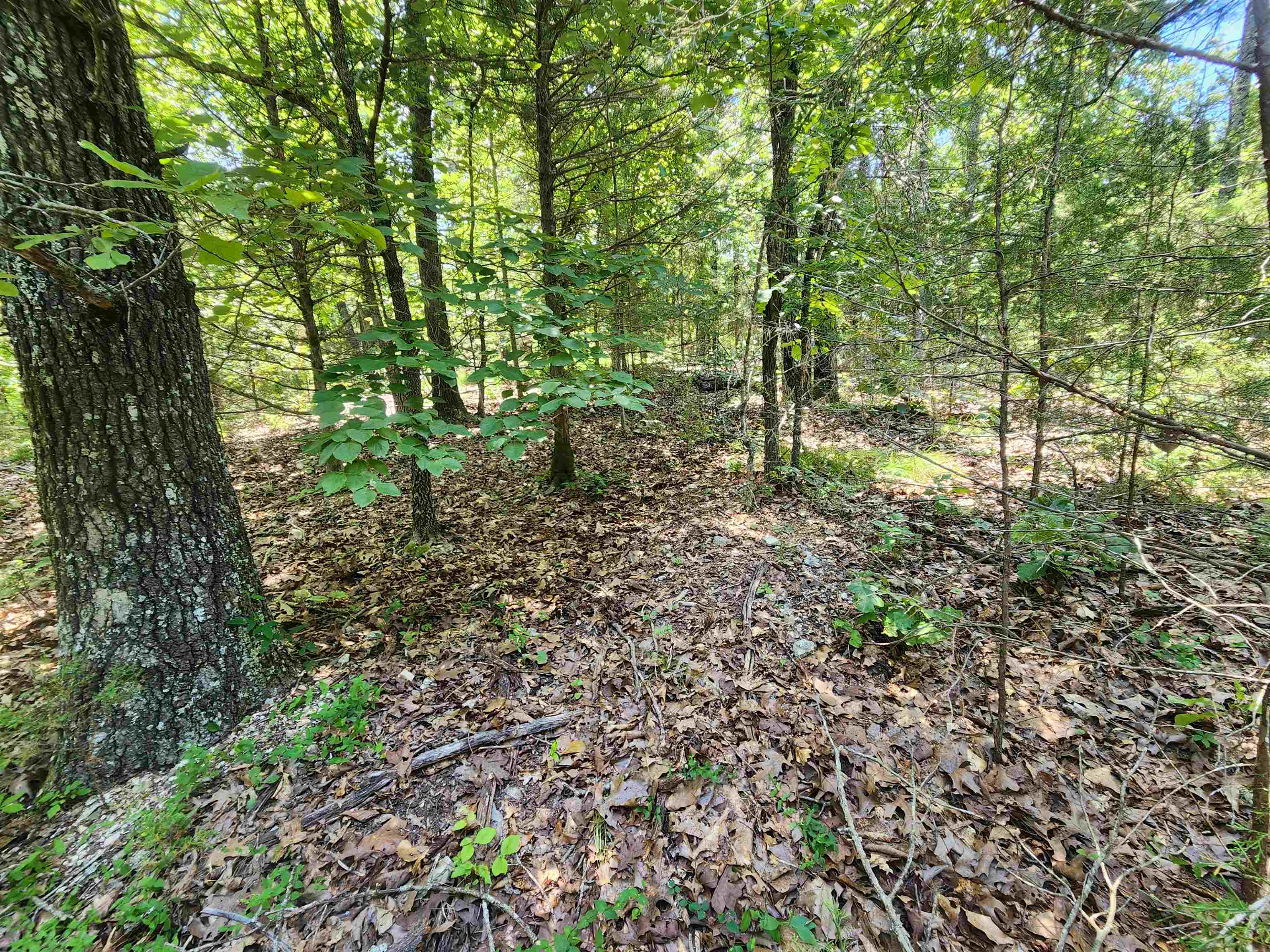 L10B9 Quarez  Cherokee Village, AR