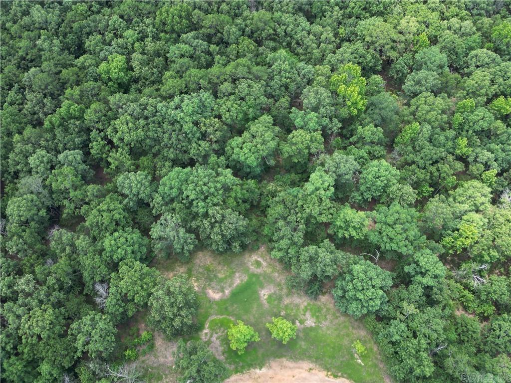 975 Larue Ridge  Dover, AR